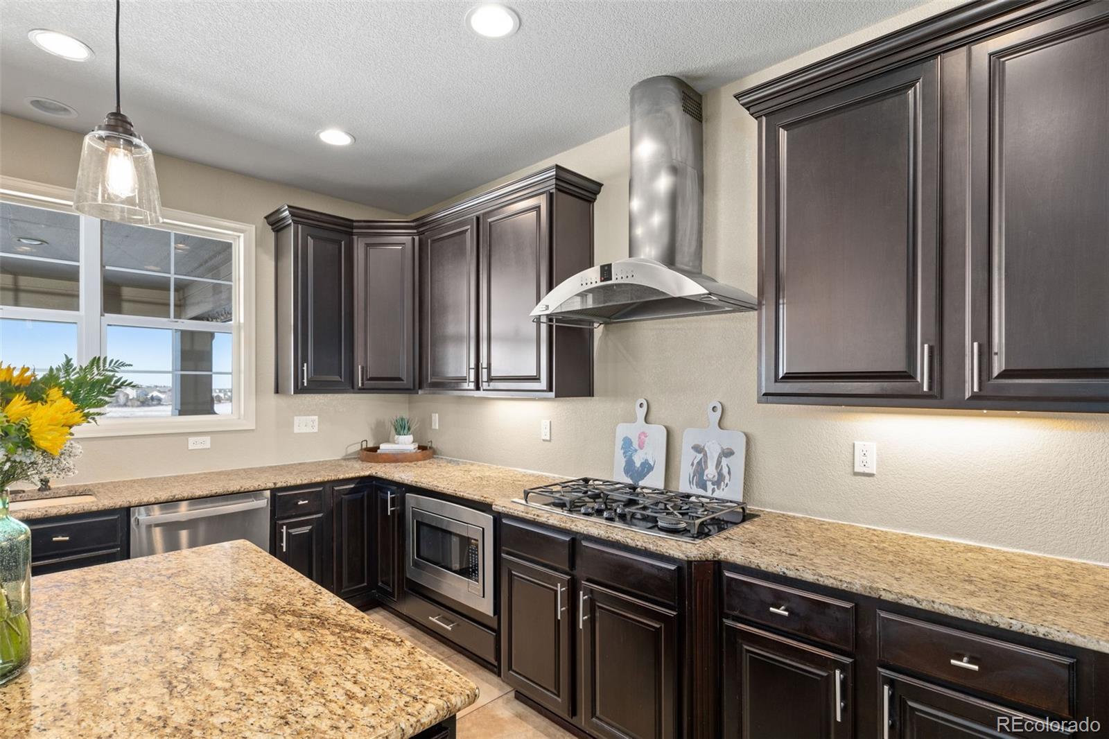 MLS Image #11 for 6623  esmeralda drive,castle rock, Colorado