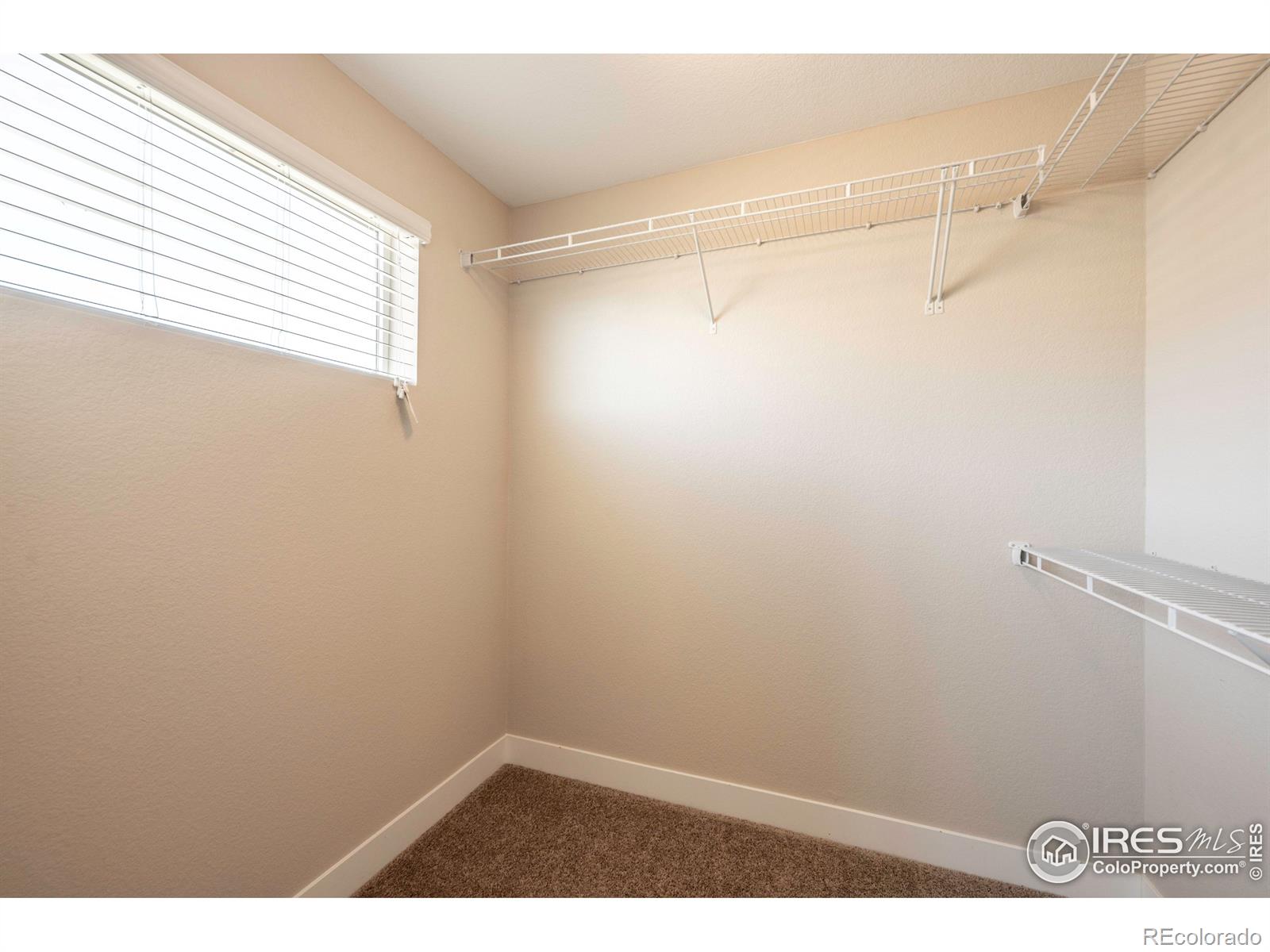 MLS Image #30 for 821  robert street,longmont, Colorado