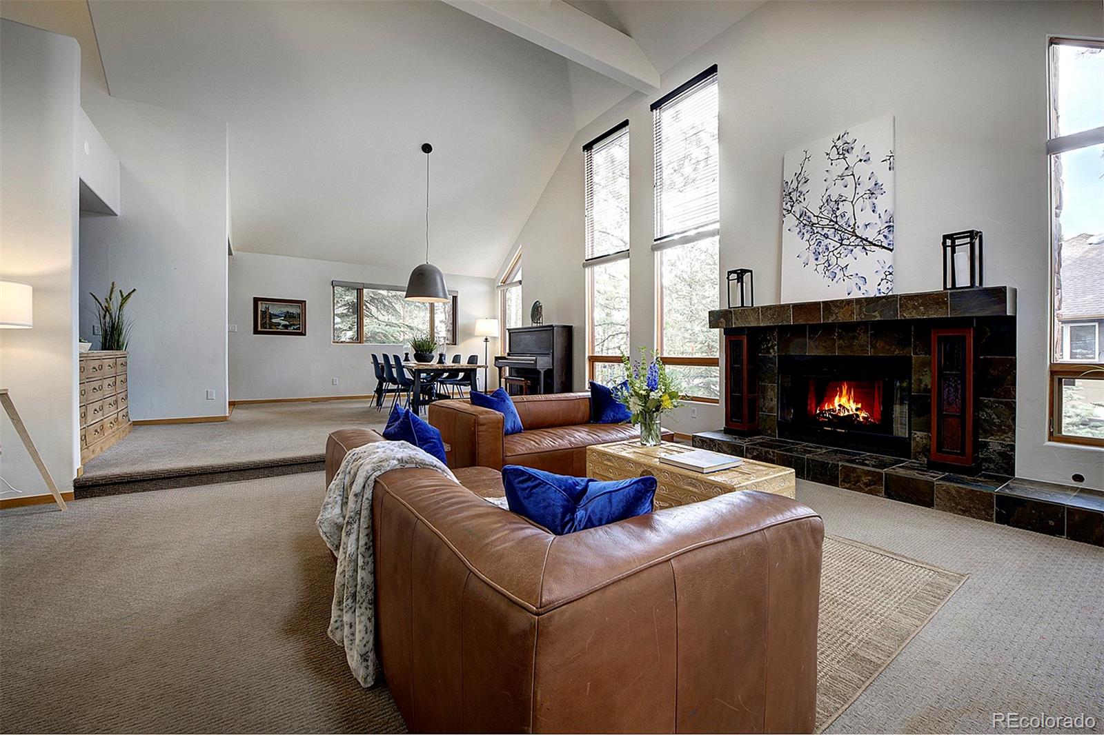 MLS Image #12 for 31332  island drive,evergreen, Colorado