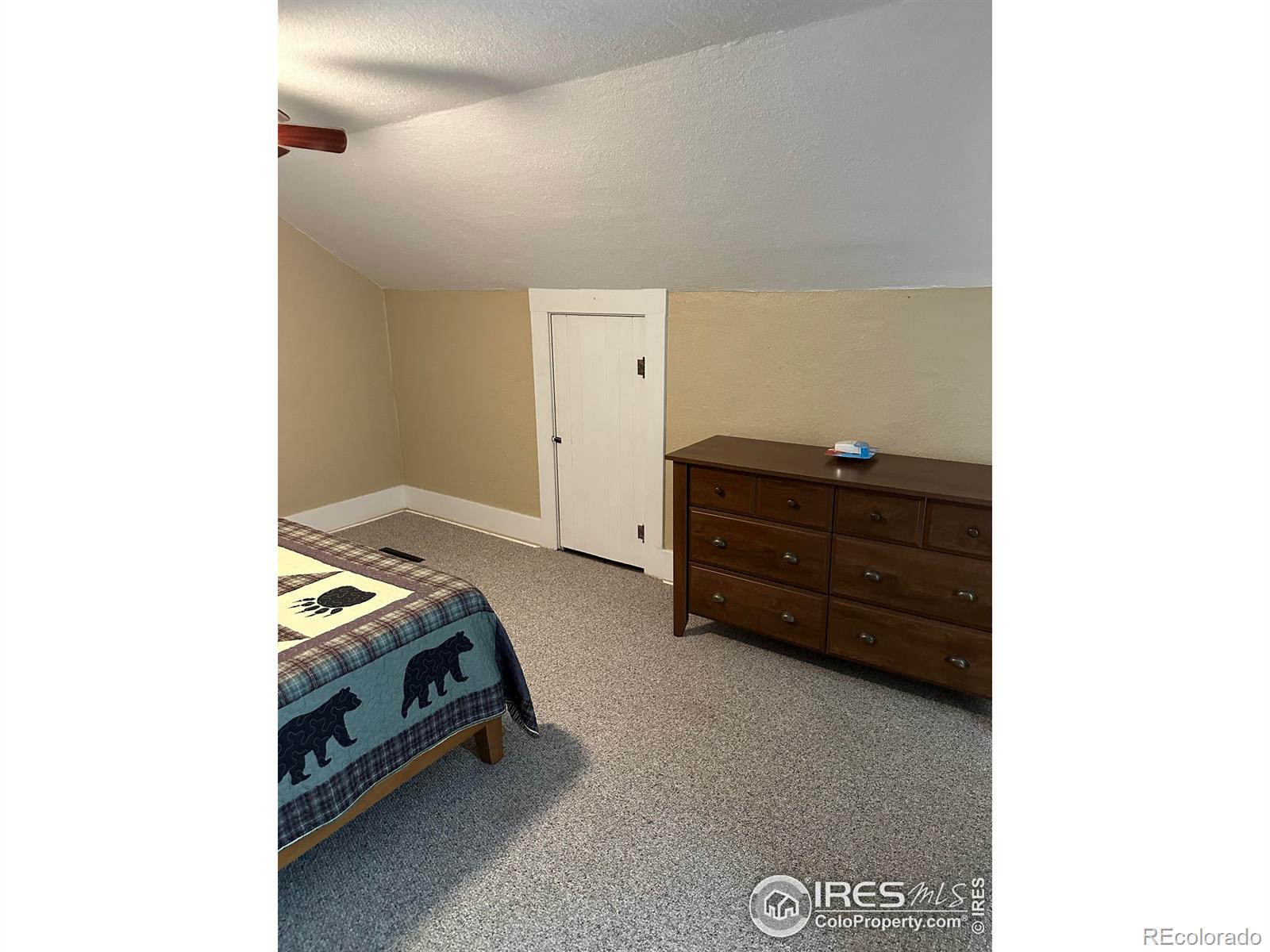 MLS Image #13 for 155 w 4th street,cheyenne wells, Colorado