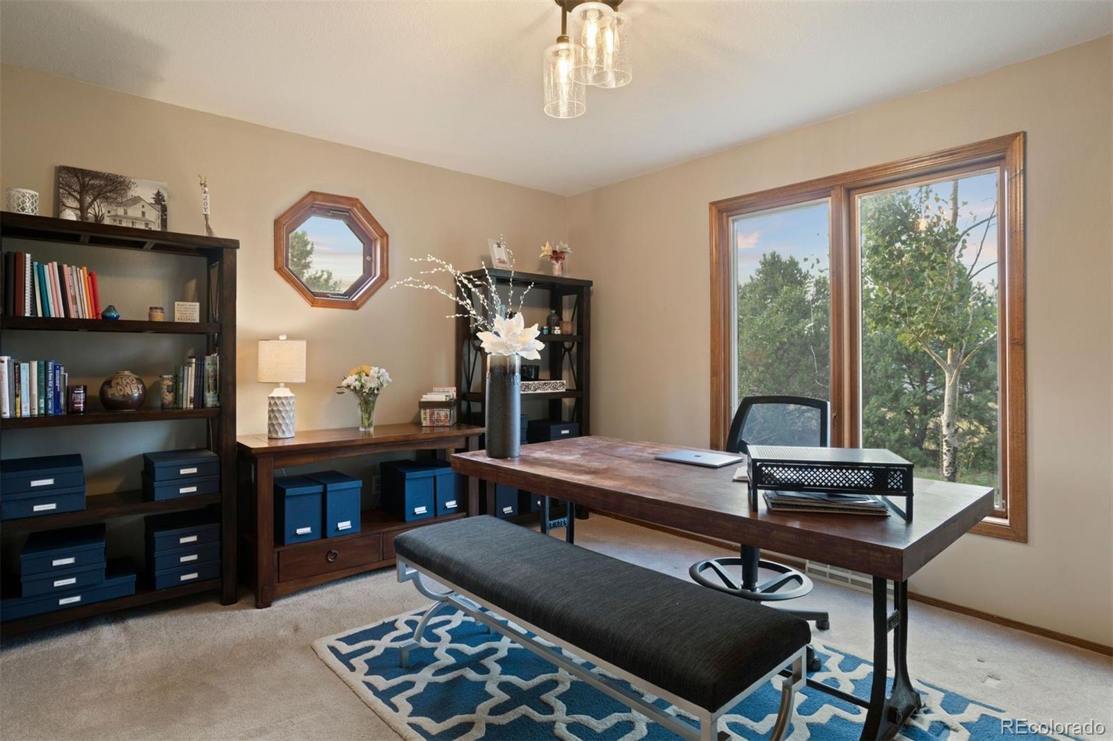 MLS Image #19 for 12768  grizzly drive,littleton, Colorado