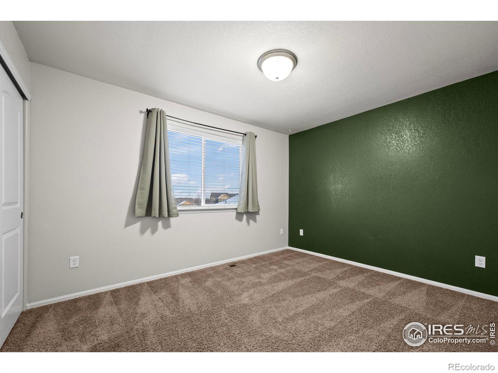 MLS Image #13 for 916  barasingha street,severance, Colorado