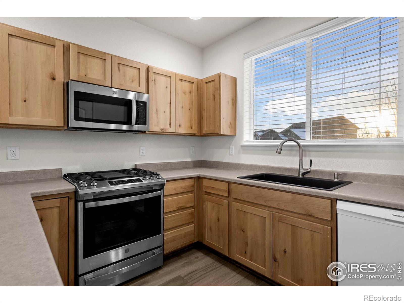 MLS Image #6 for 916  barasingha street,severance, Colorado