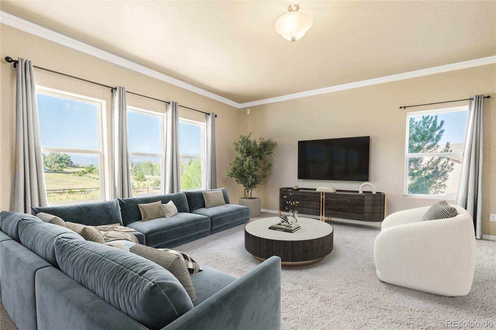 MLS Image #2 for 1235  woodmoor acres drive,monument, Colorado