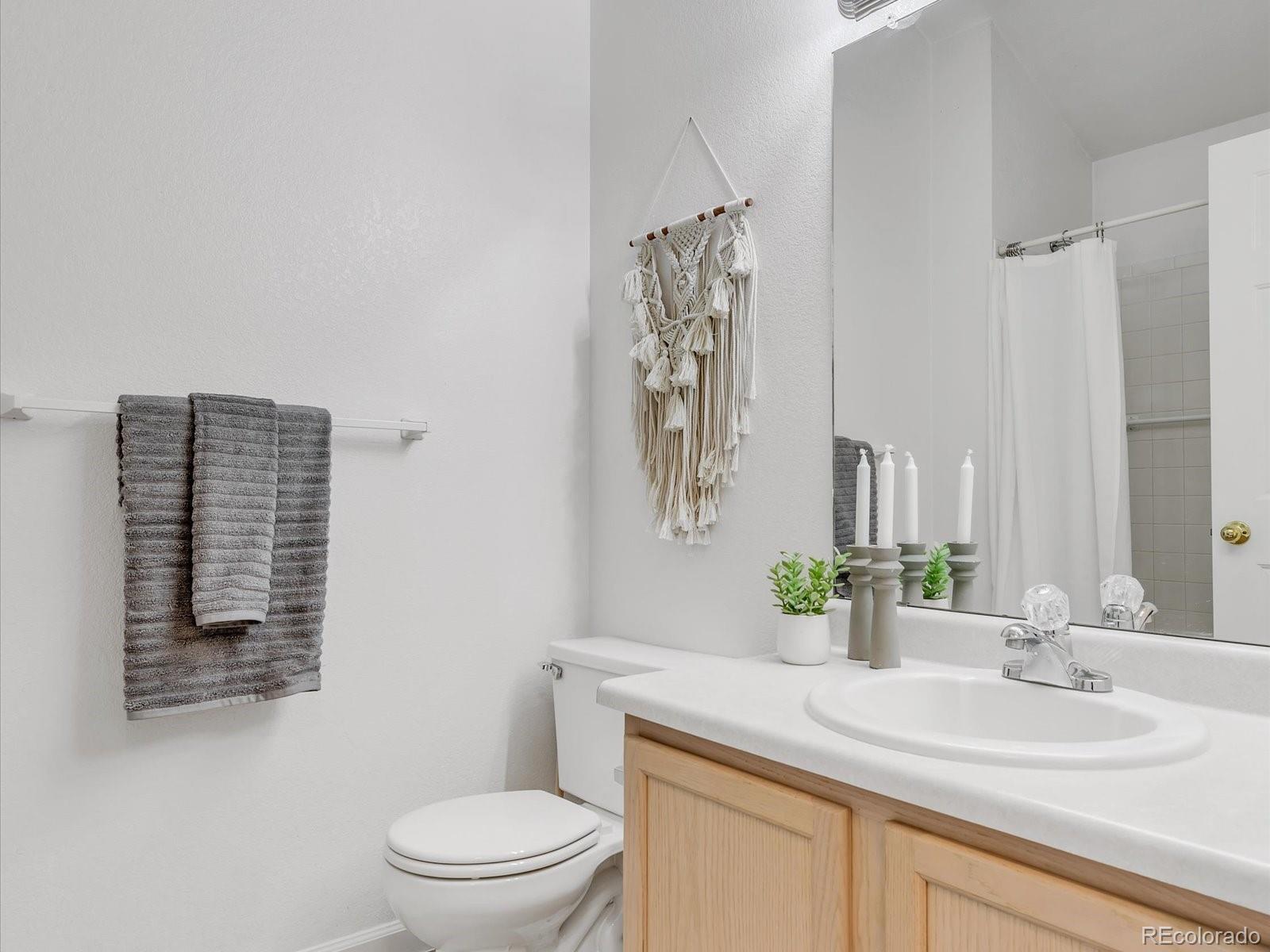 MLS Image #17 for 3802  desert willow avenue,broomfield, Colorado