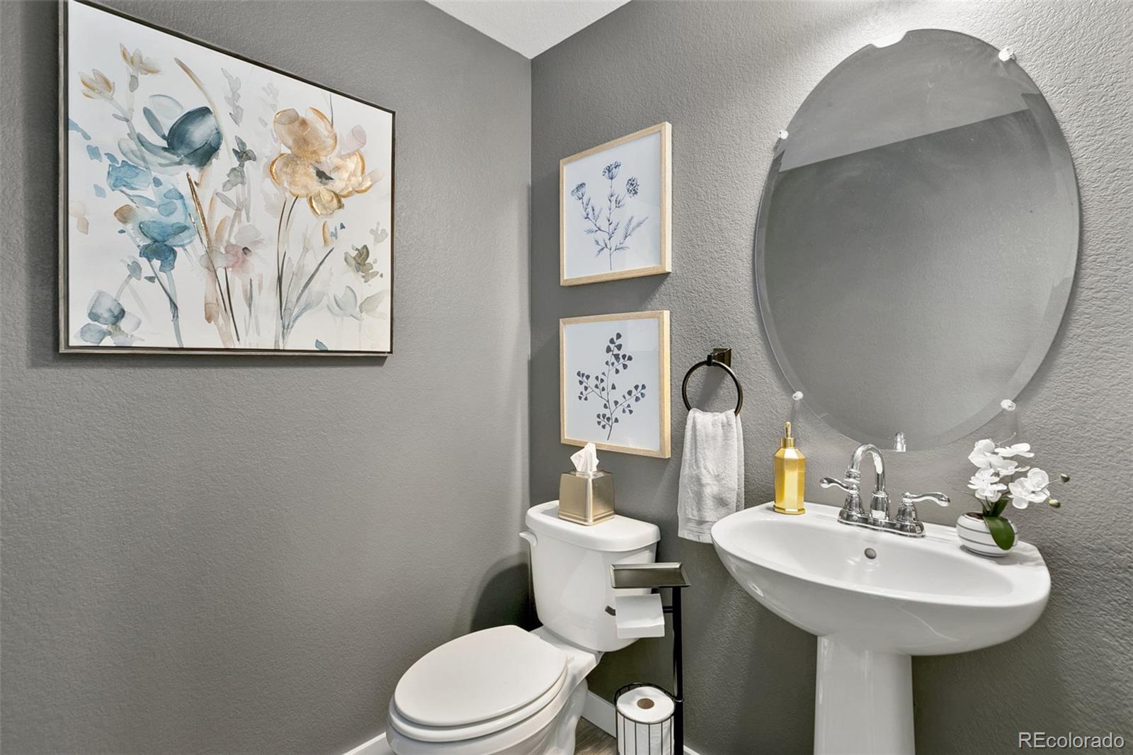 MLS Image #10 for 7875  yampa river avenue ,littleton, Colorado