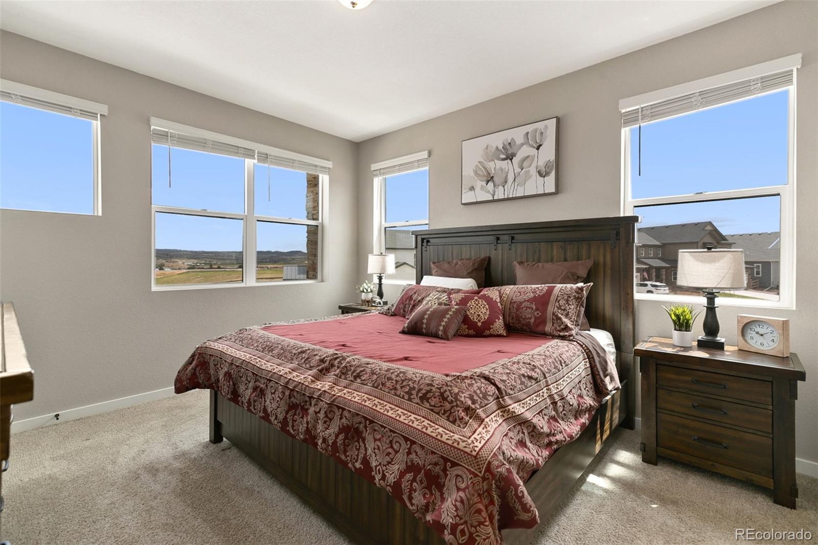 MLS Image #13 for 7875  yampa river avenue ,littleton, Colorado