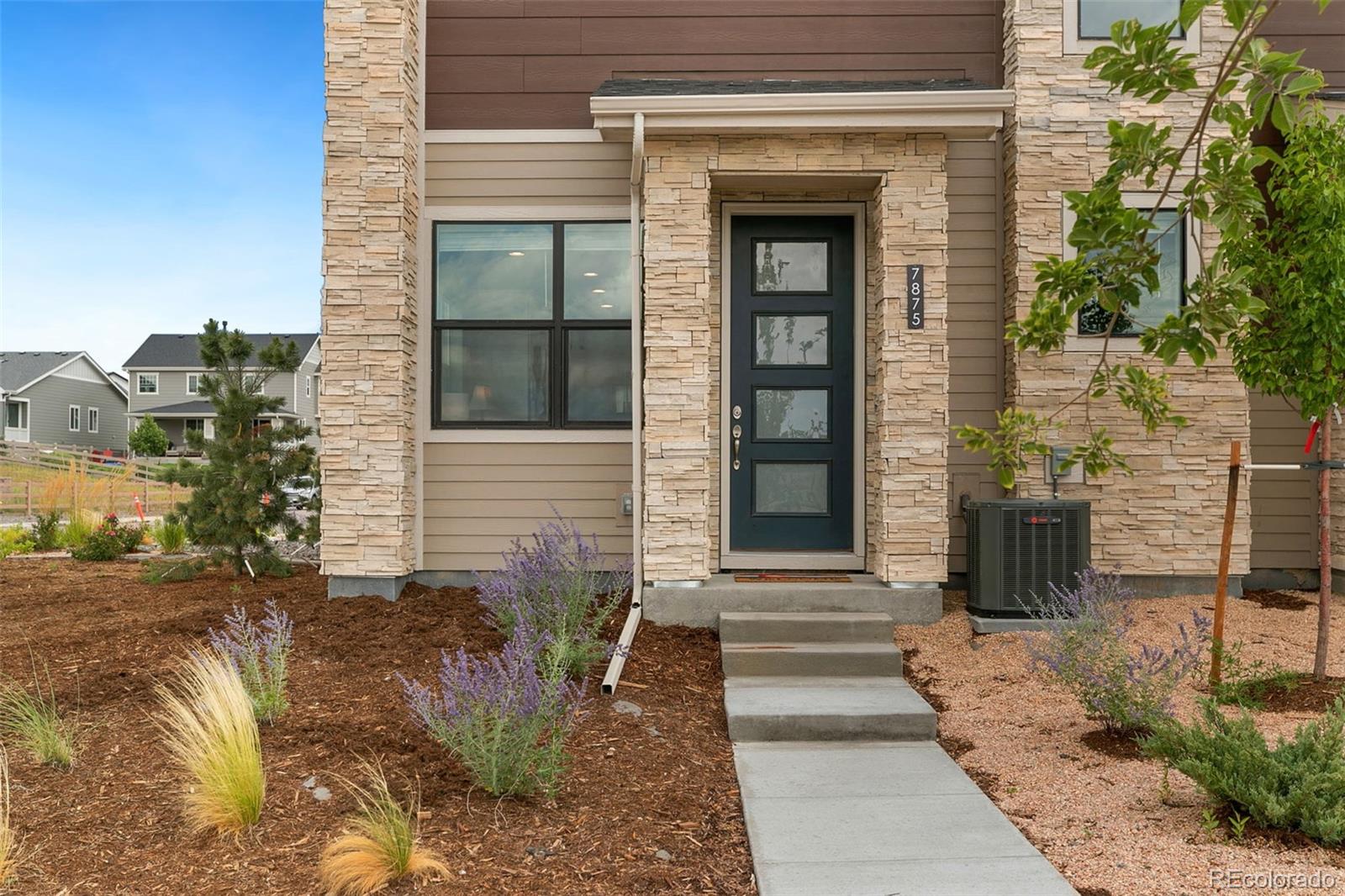 MLS Image #22 for 7875  yampa river avenue ,littleton, Colorado