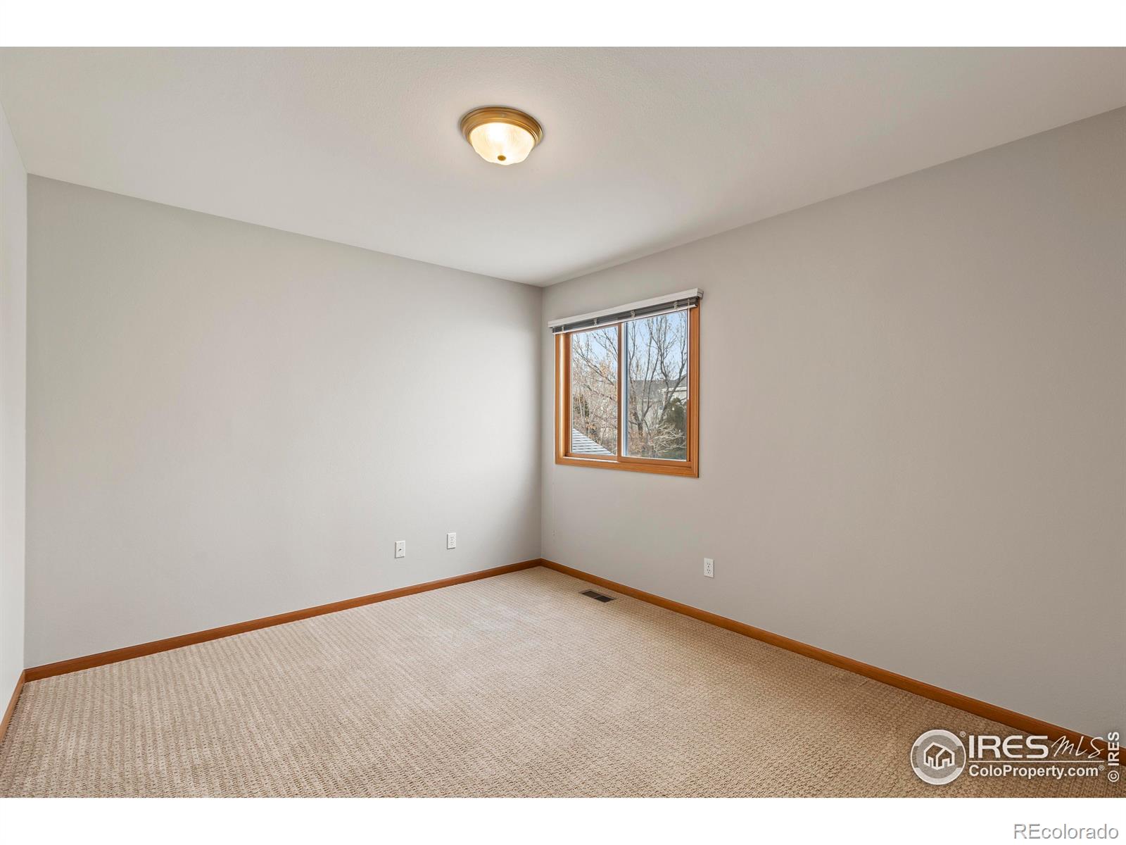 MLS Image #19 for 3473  fieldstone drive,fort collins, Colorado