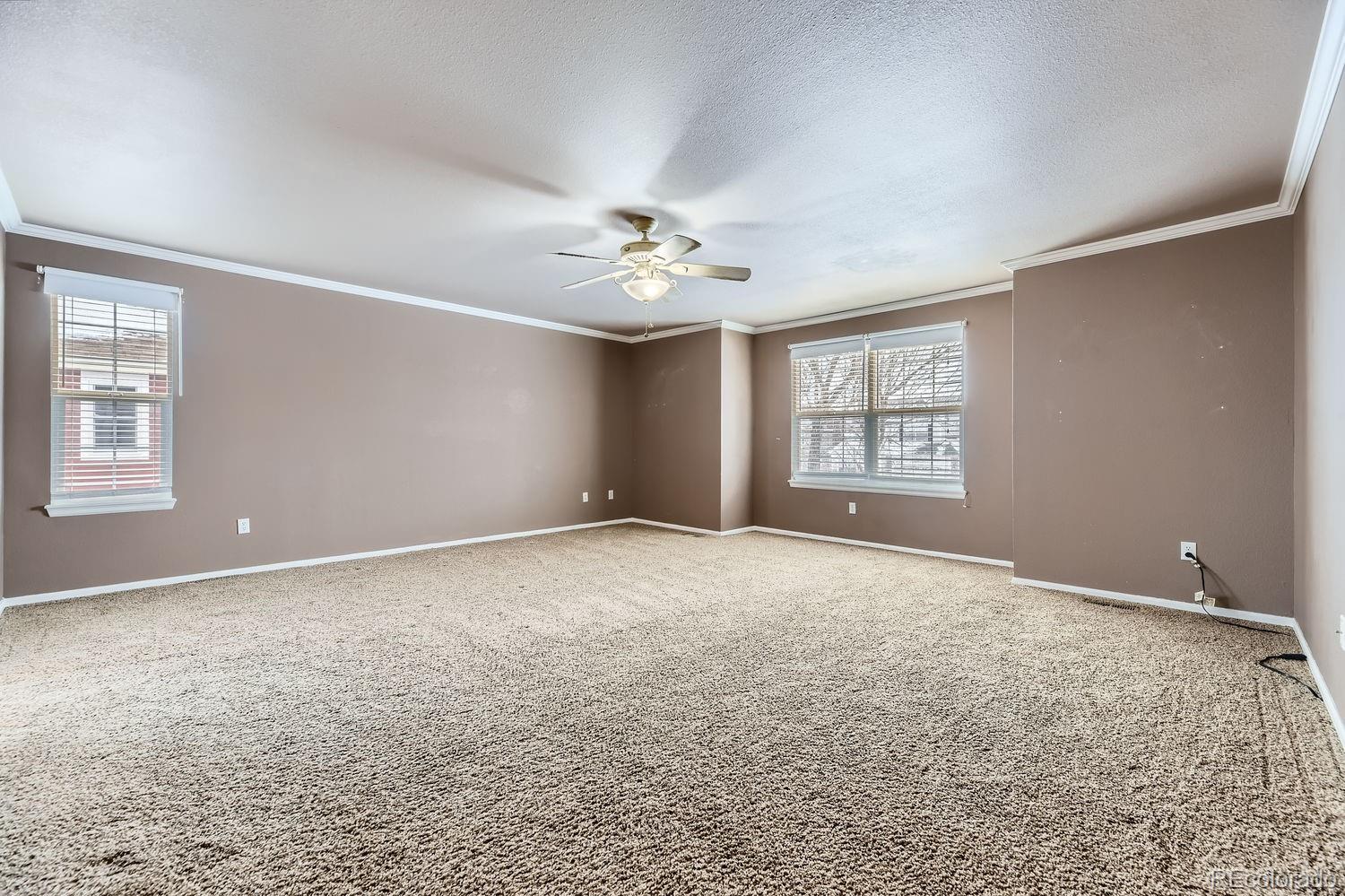 MLS Image #15 for 21123  white ash lane,parker, Colorado