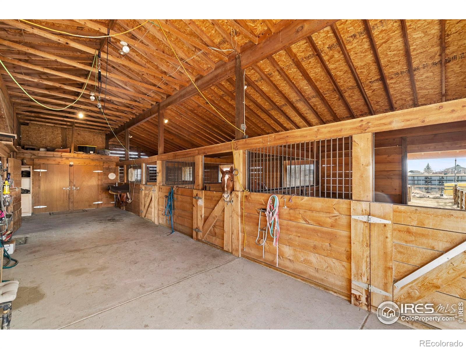 MLS Image #31 for 5101  gary drive,berthoud, Colorado