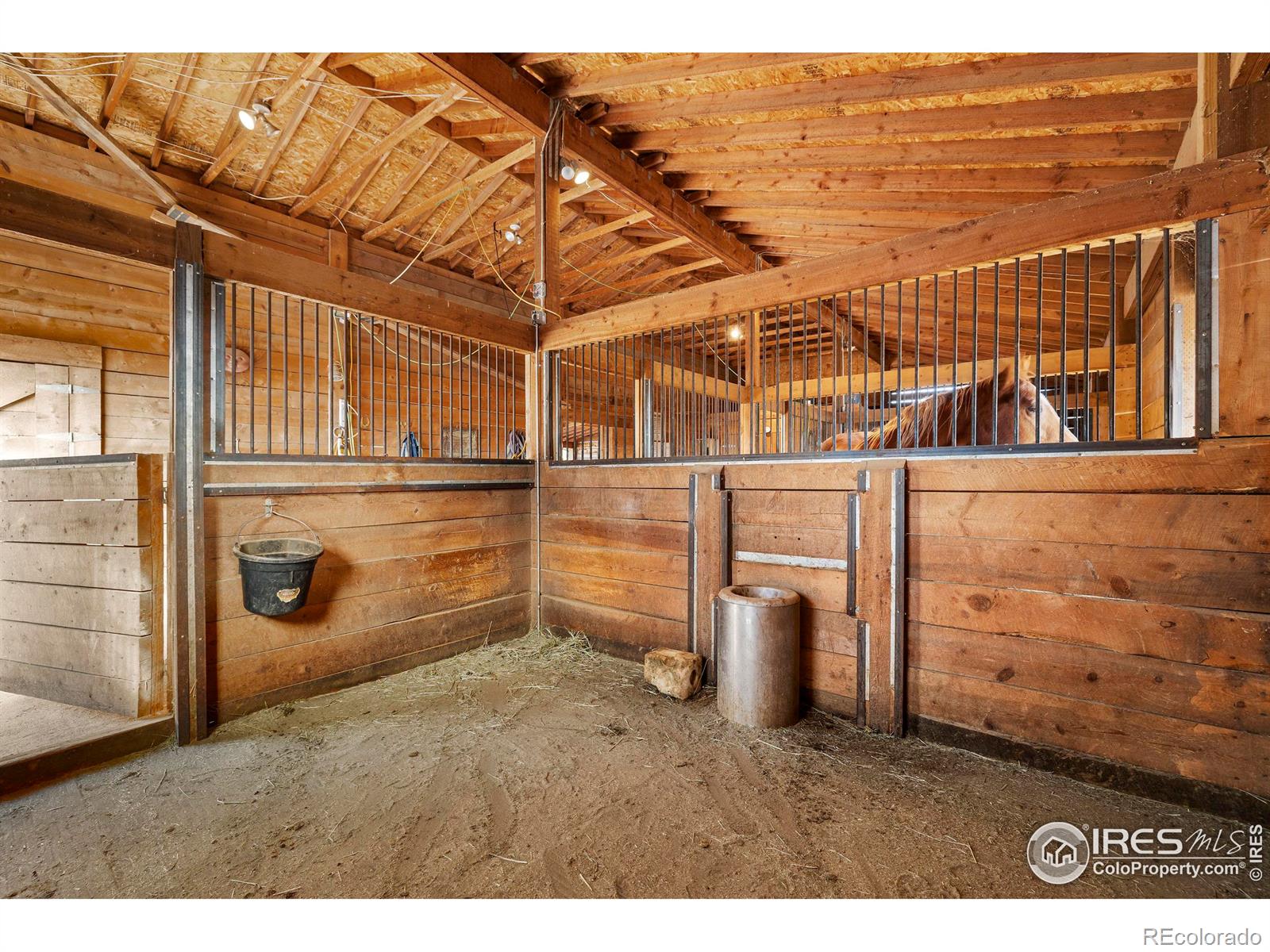 MLS Image #32 for 5101  gary drive,berthoud, Colorado