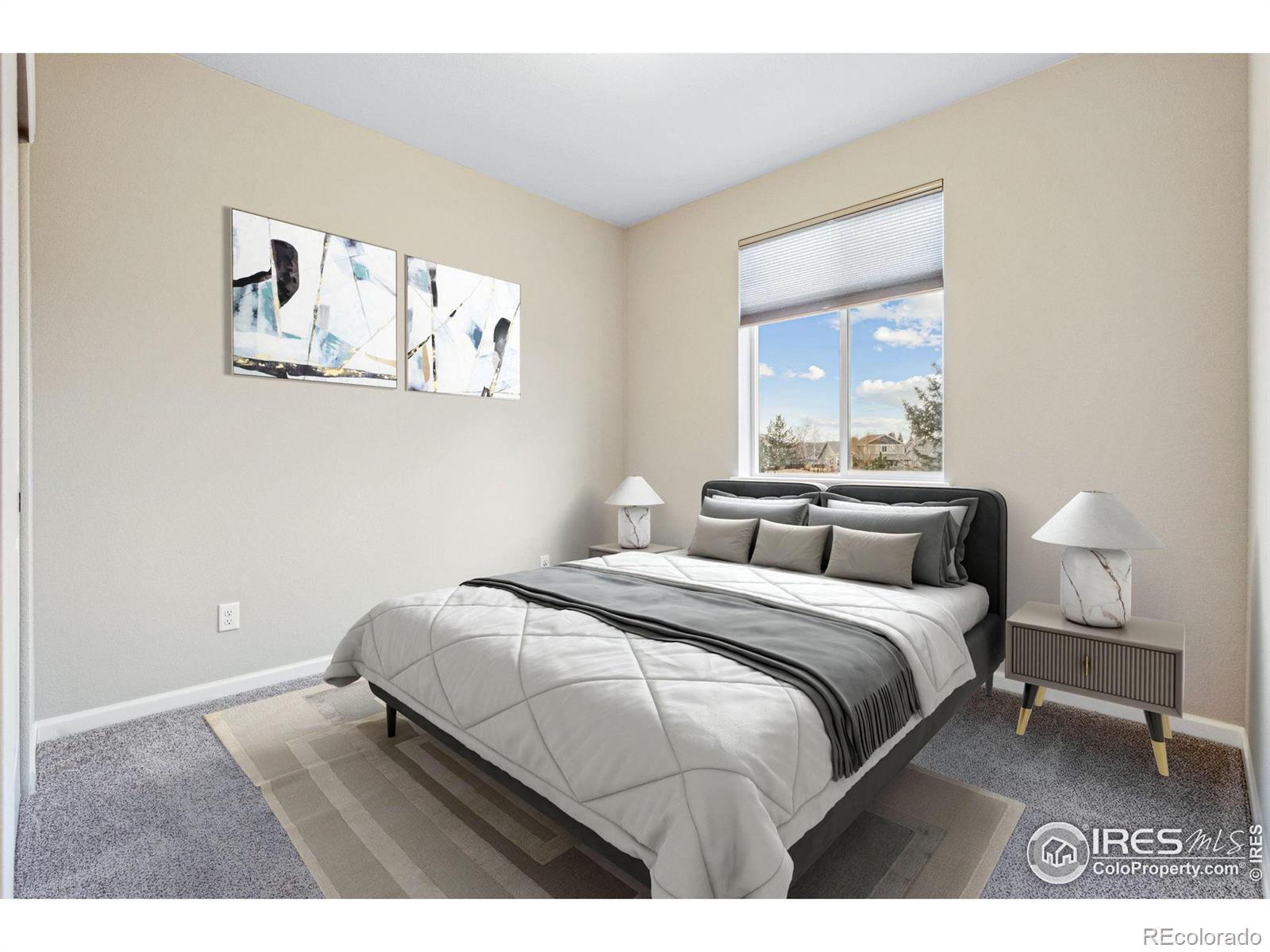 MLS Image #19 for 2074  medford street,longmont, Colorado