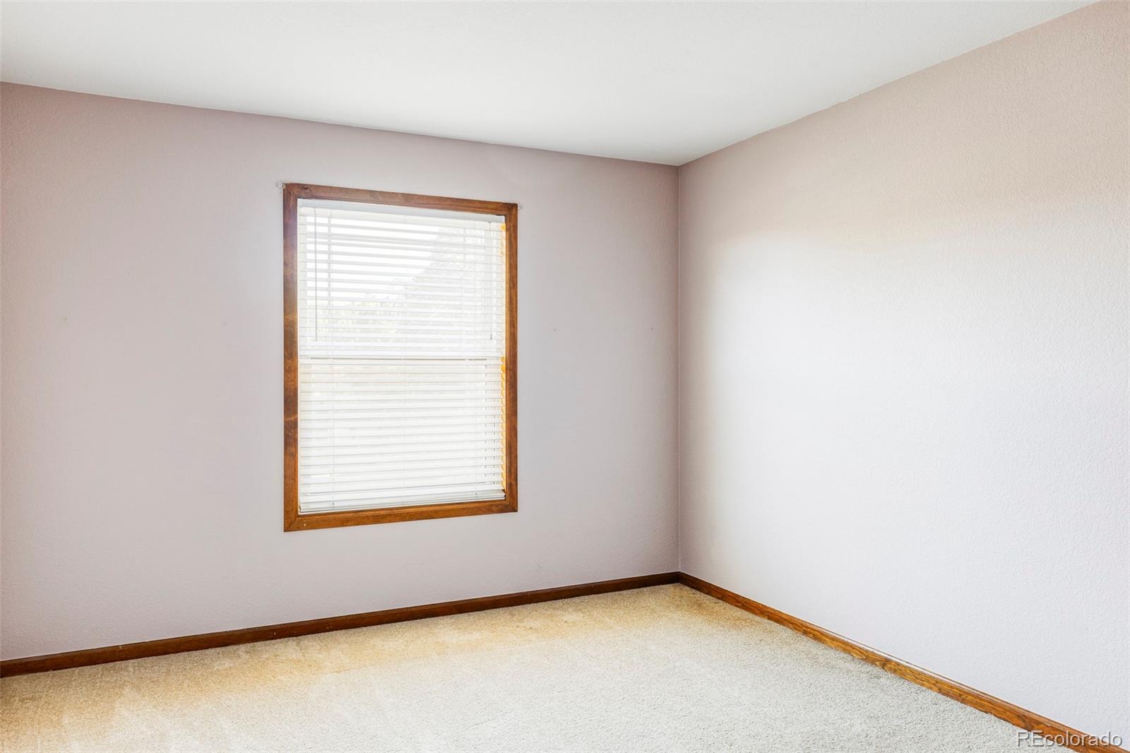 MLS Image #27 for 5451 s zinnia court,littleton, Colorado
