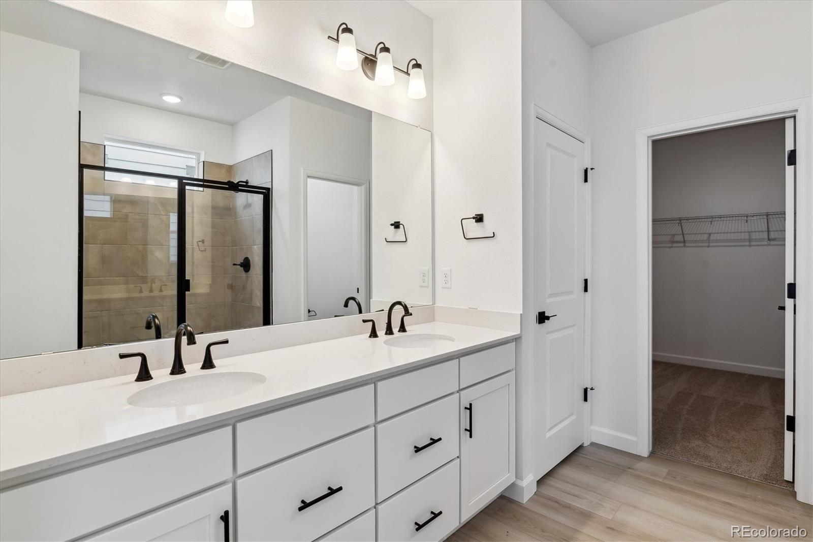 MLS Image #17 for 8532  eagle river street,littleton, Colorado