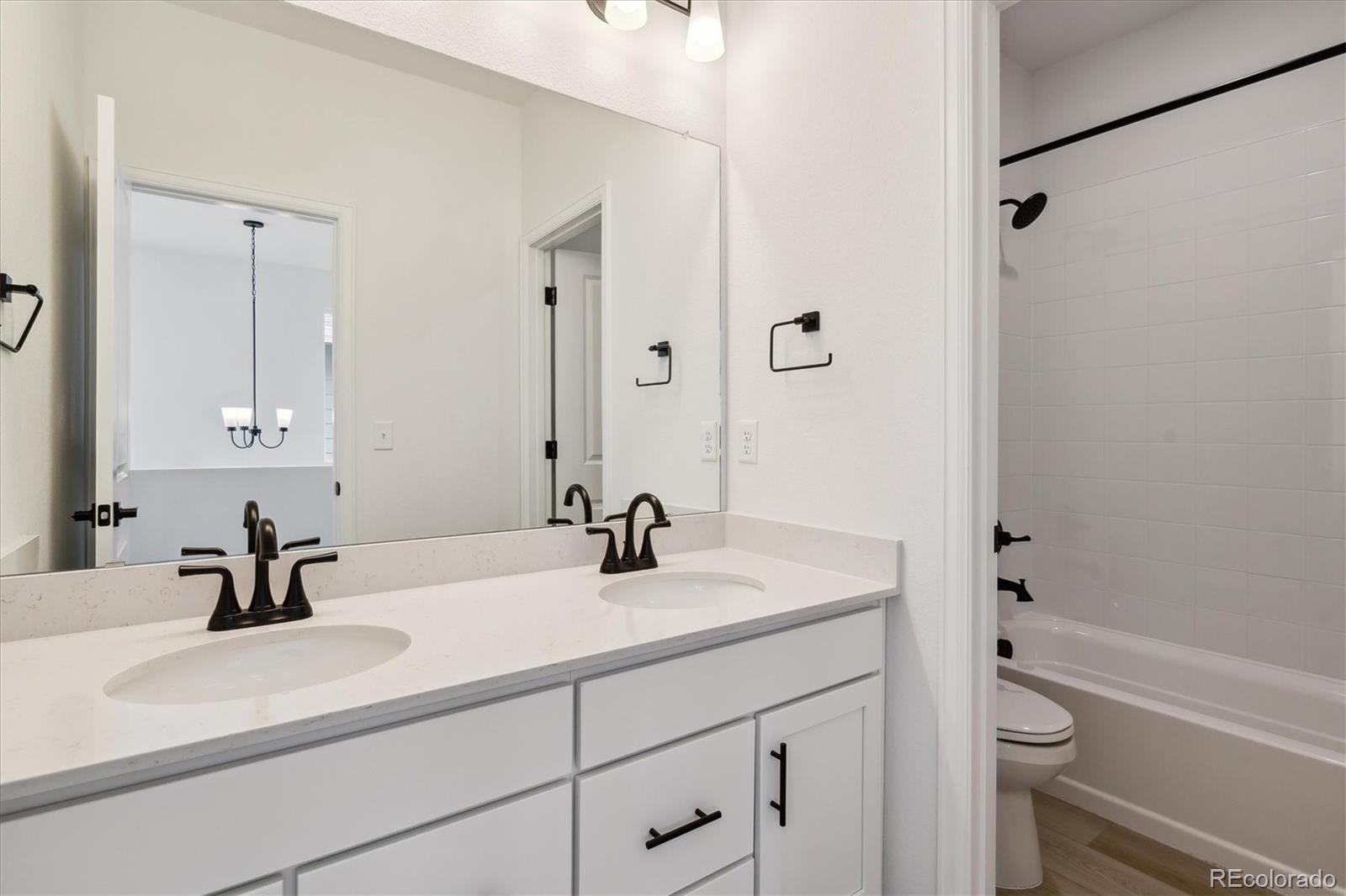 MLS Image #19 for 8532  eagle river street,littleton, Colorado