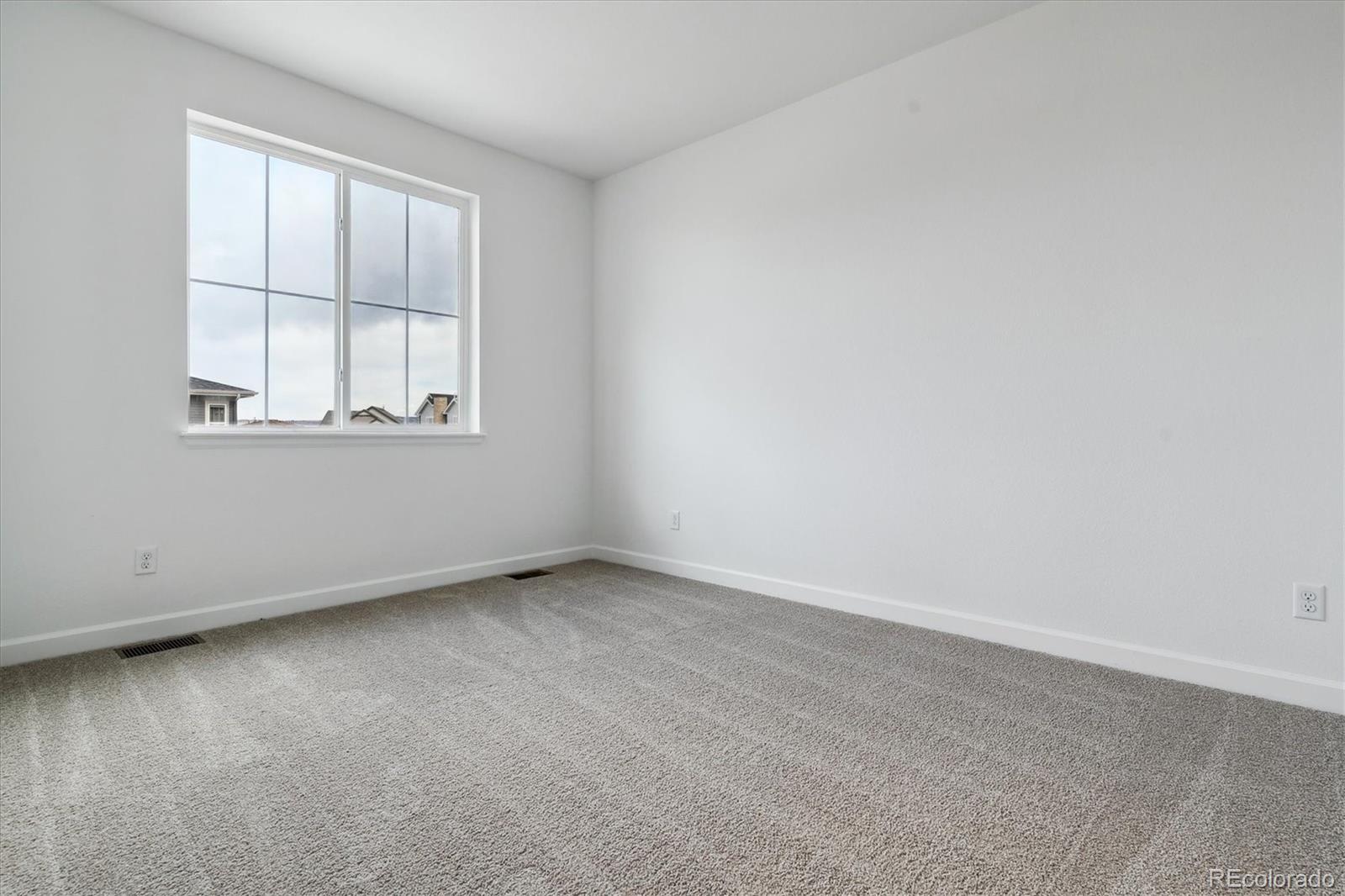 MLS Image #20 for 8532  eagle river street,littleton, Colorado