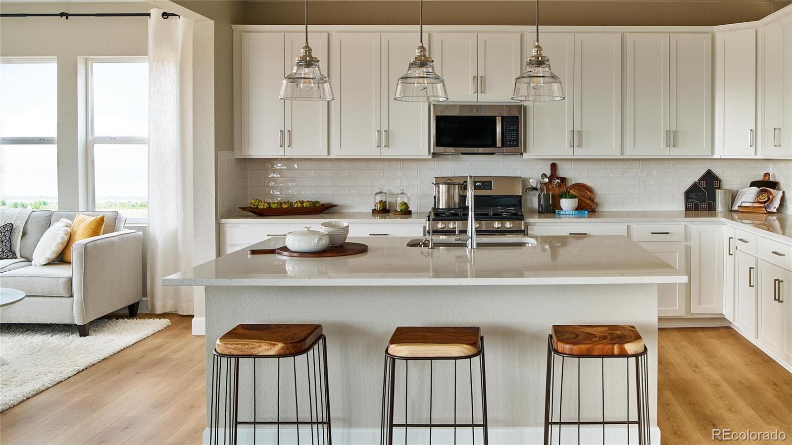MLS Image #11 for 4237  ridgewalk point,castle rock, Colorado