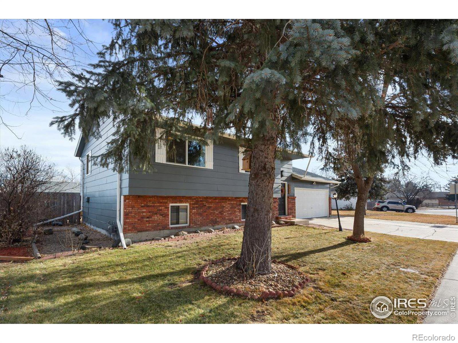 MLS Image #2 for 3632  logan drive,loveland, Colorado