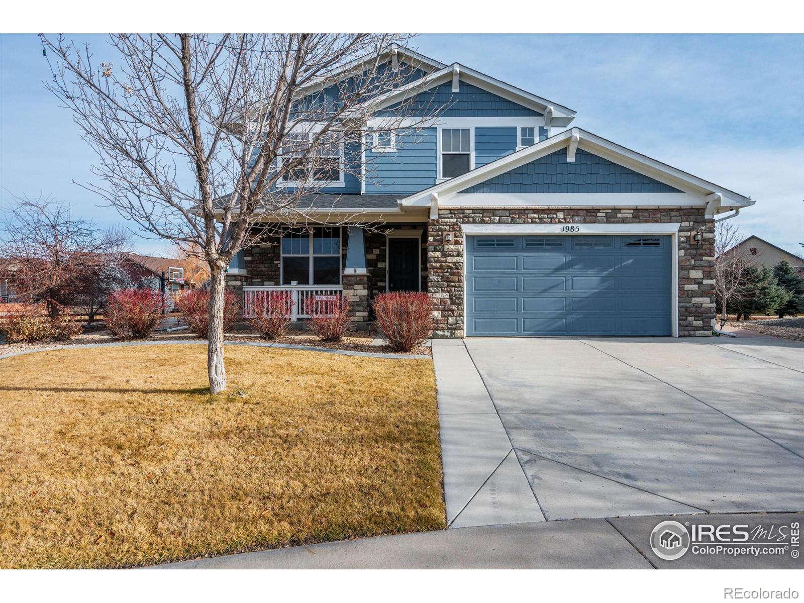 CMA Image for 1985  barbados court,Windsor, Colorado