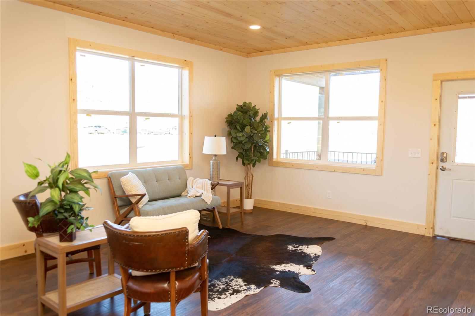 MLS Image #16 for 437  apex drive ,creede, Colorado