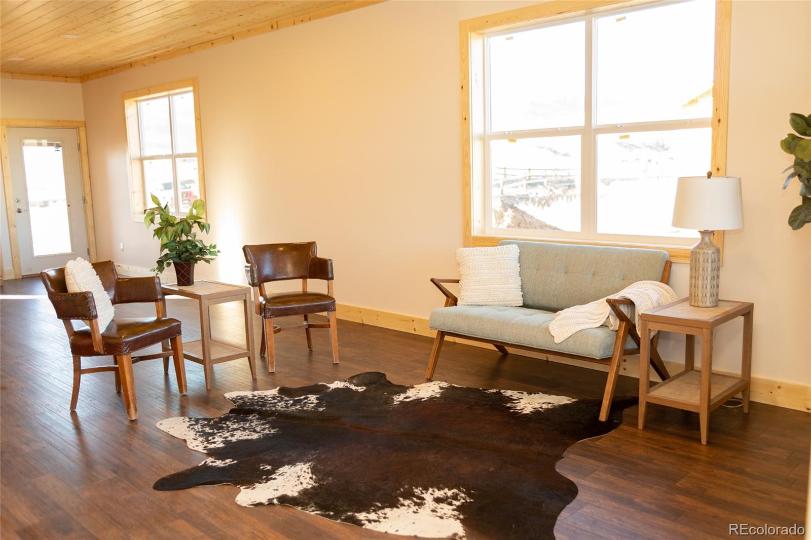 MLS Image #2 for 437  apex drive ,creede, Colorado