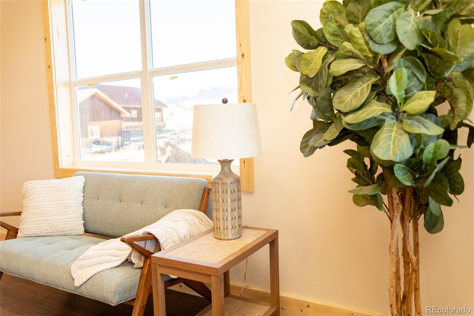 MLS Image #25 for 437  apex drive ,creede, Colorado