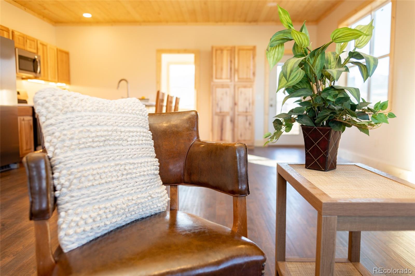 MLS Image #5 for 437  apex drive ,creede, Colorado