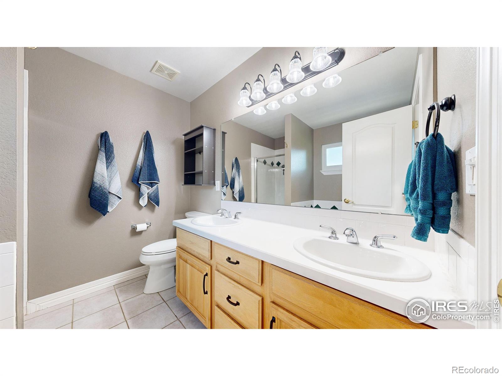 MLS Image #17 for 807  waxberry court,loveland, Colorado