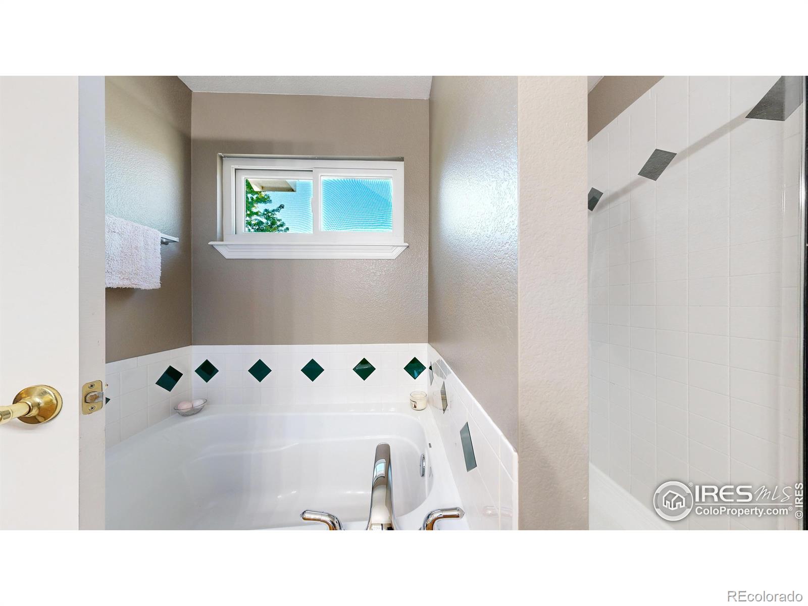 MLS Image #19 for 807  waxberry court,loveland, Colorado