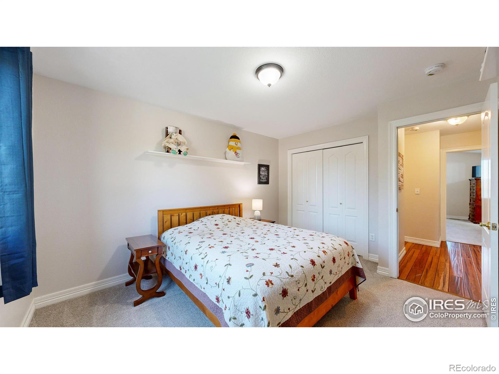 MLS Image #20 for 807  waxberry court,loveland, Colorado