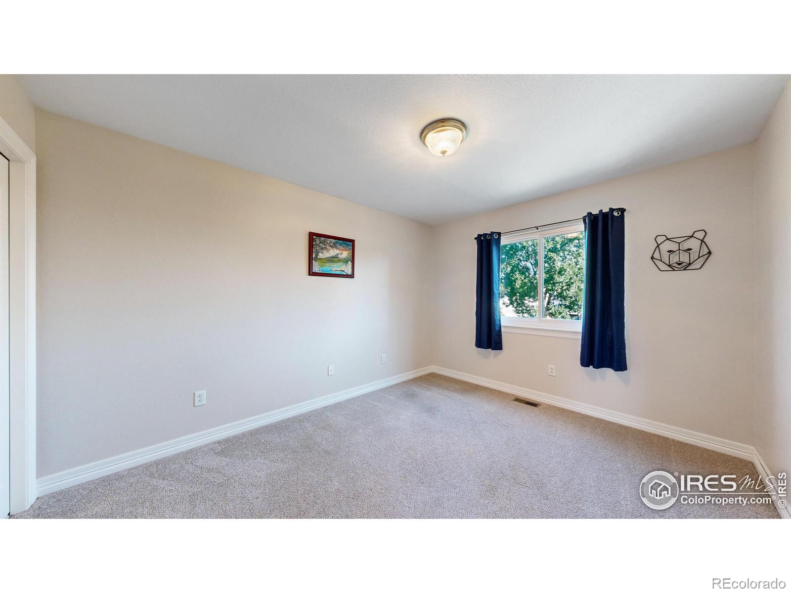 MLS Image #22 for 807  waxberry court,loveland, Colorado