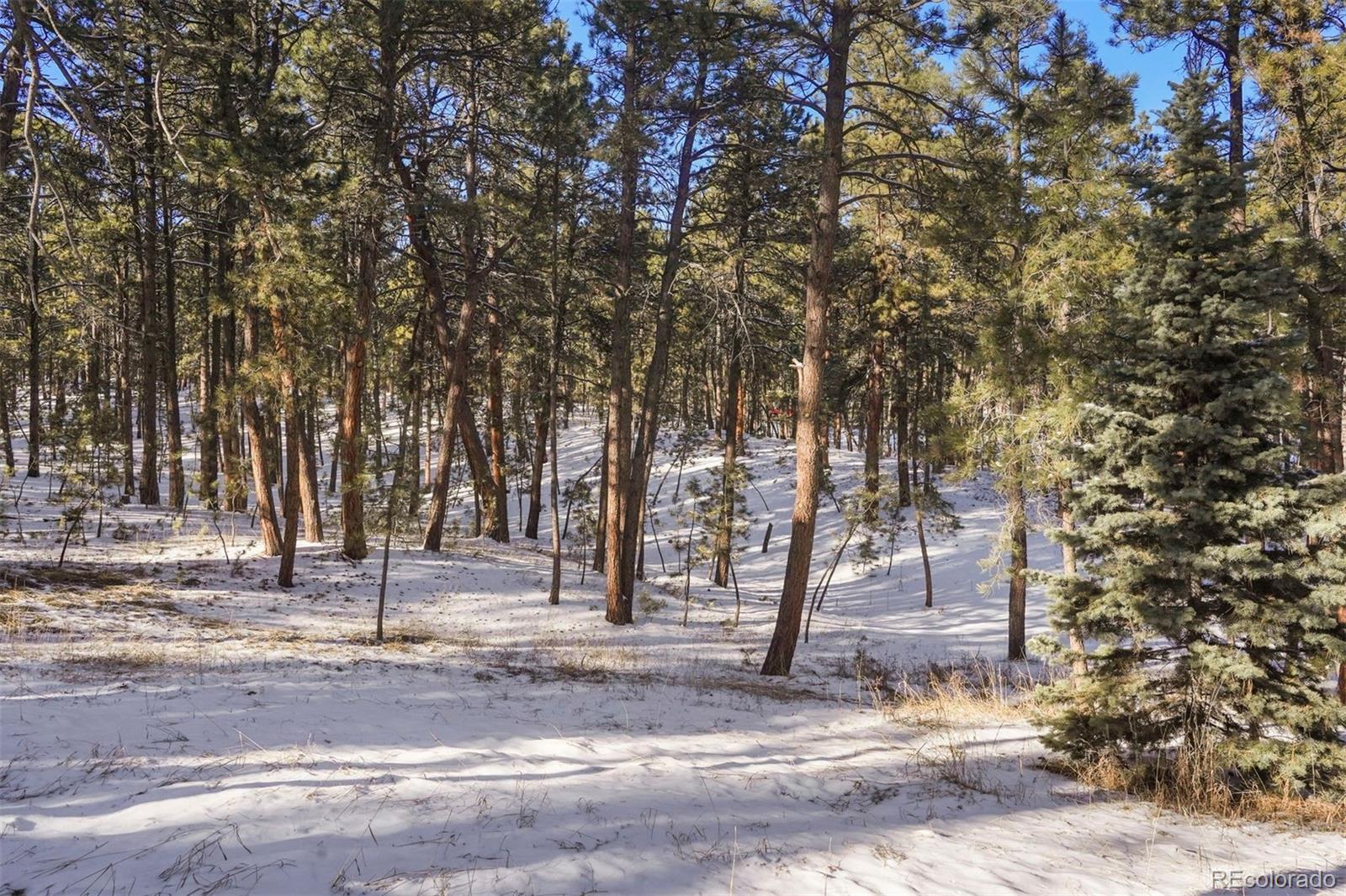 MLS Image #6 for 7190  mathews road,colorado springs, Colorado