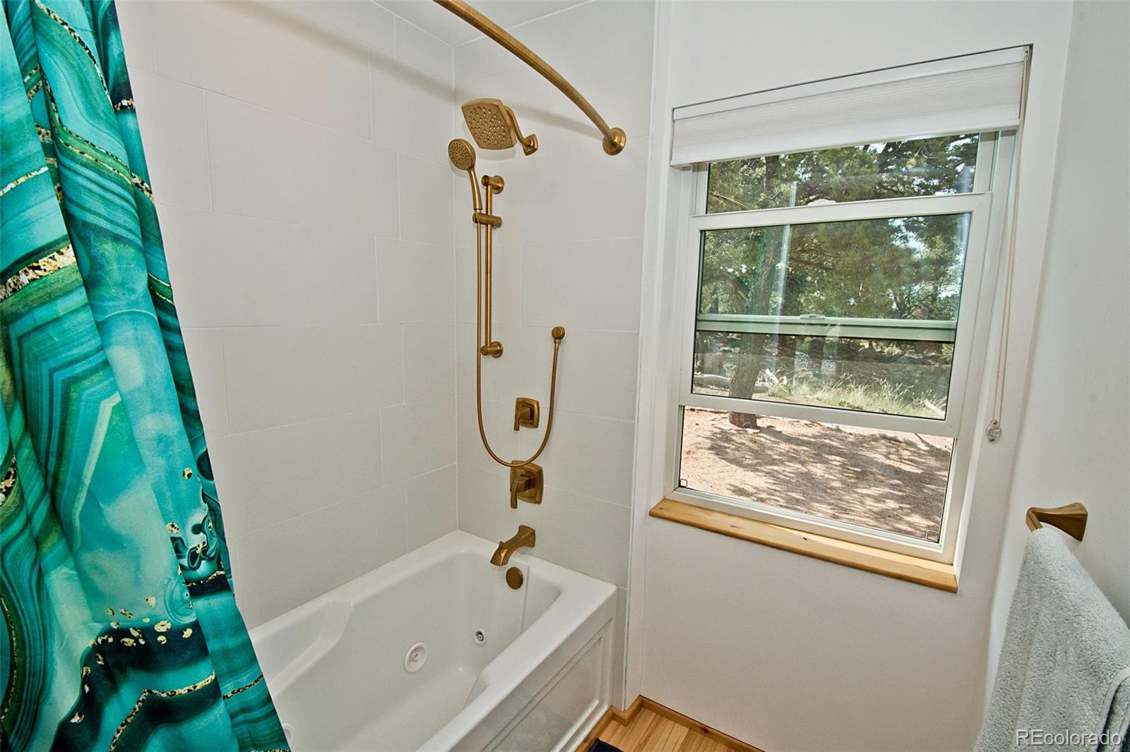 MLS Image #12 for 4441  rarity way,crestone, Colorado