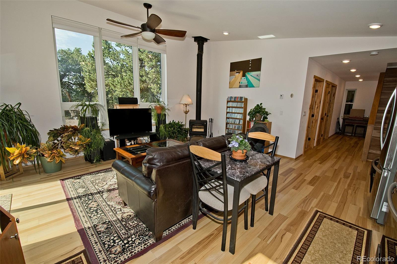 MLS Image #8 for 4441  rarity way,crestone, Colorado