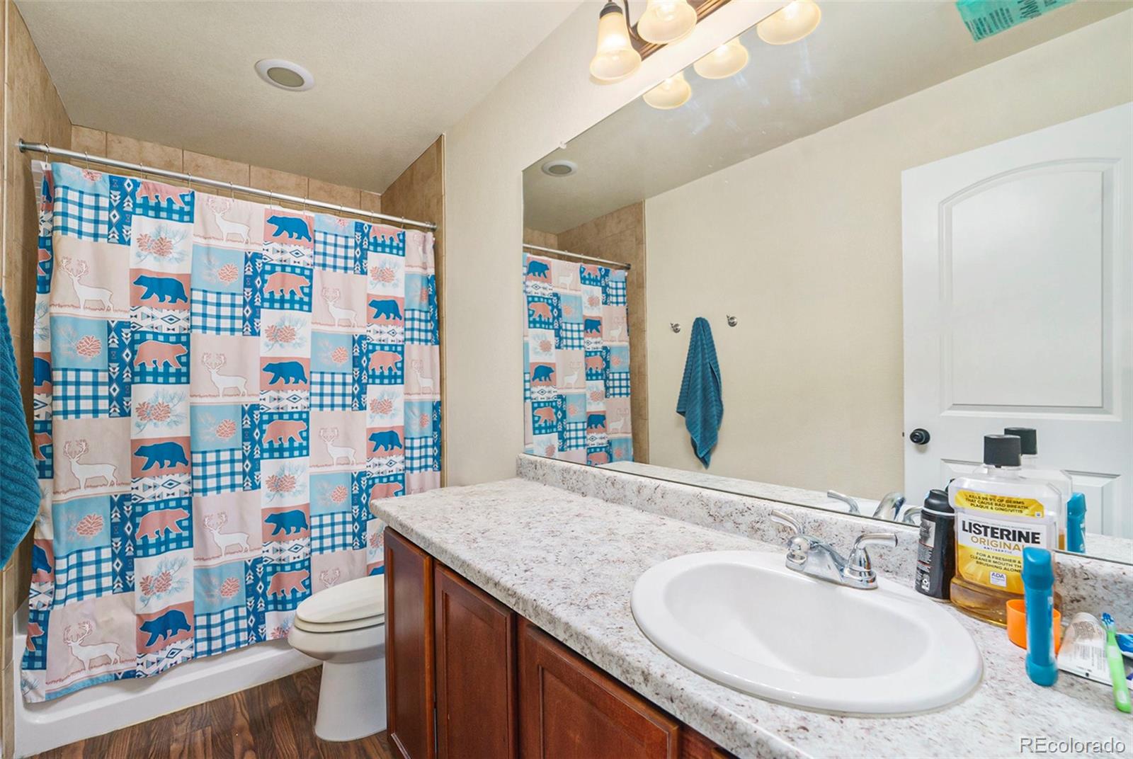 MLS Image #10 for 4730  uravan street,denver, Colorado