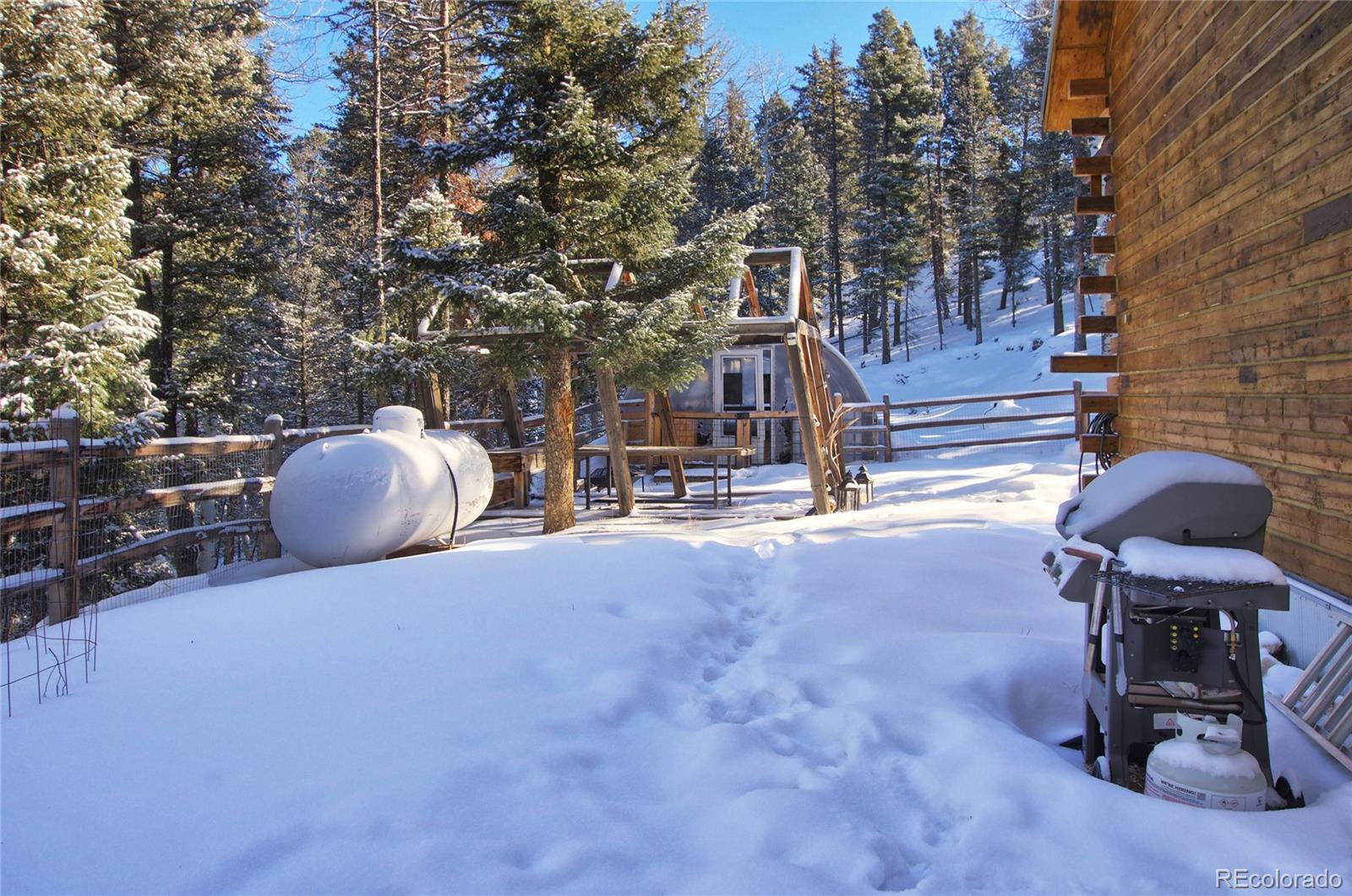 MLS Image #29 for 1245  blossom road,woodland park, Colorado