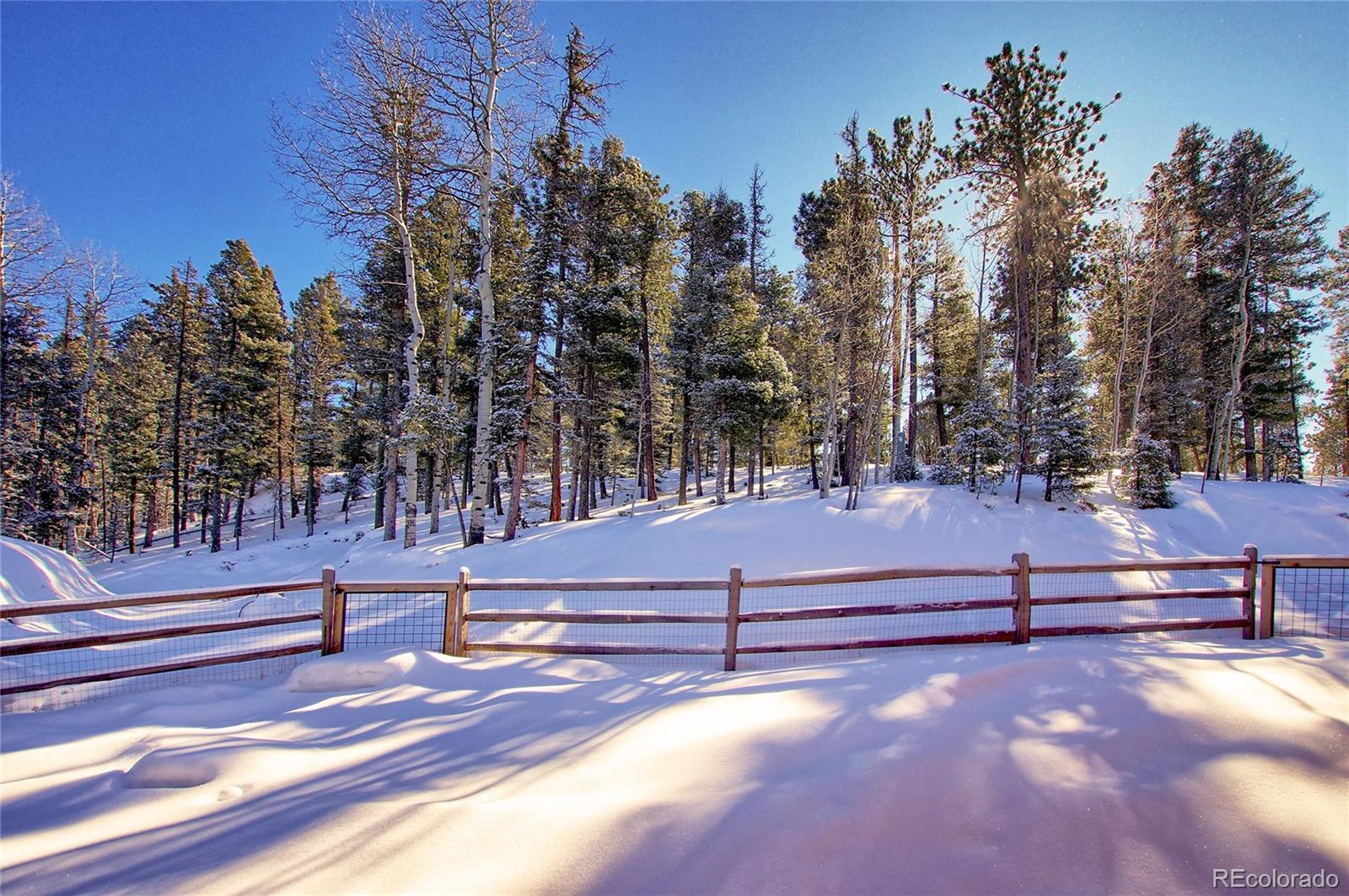 MLS Image #33 for 1245  blossom road,woodland park, Colorado