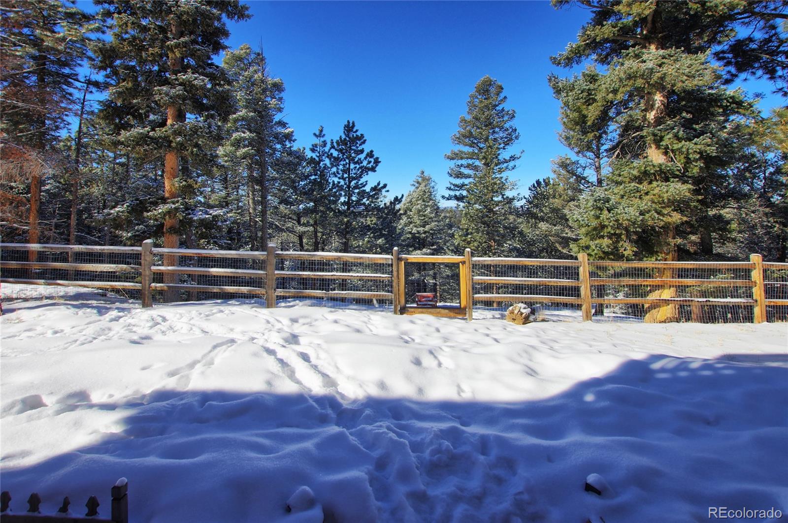 MLS Image #34 for 1245  blossom road,woodland park, Colorado