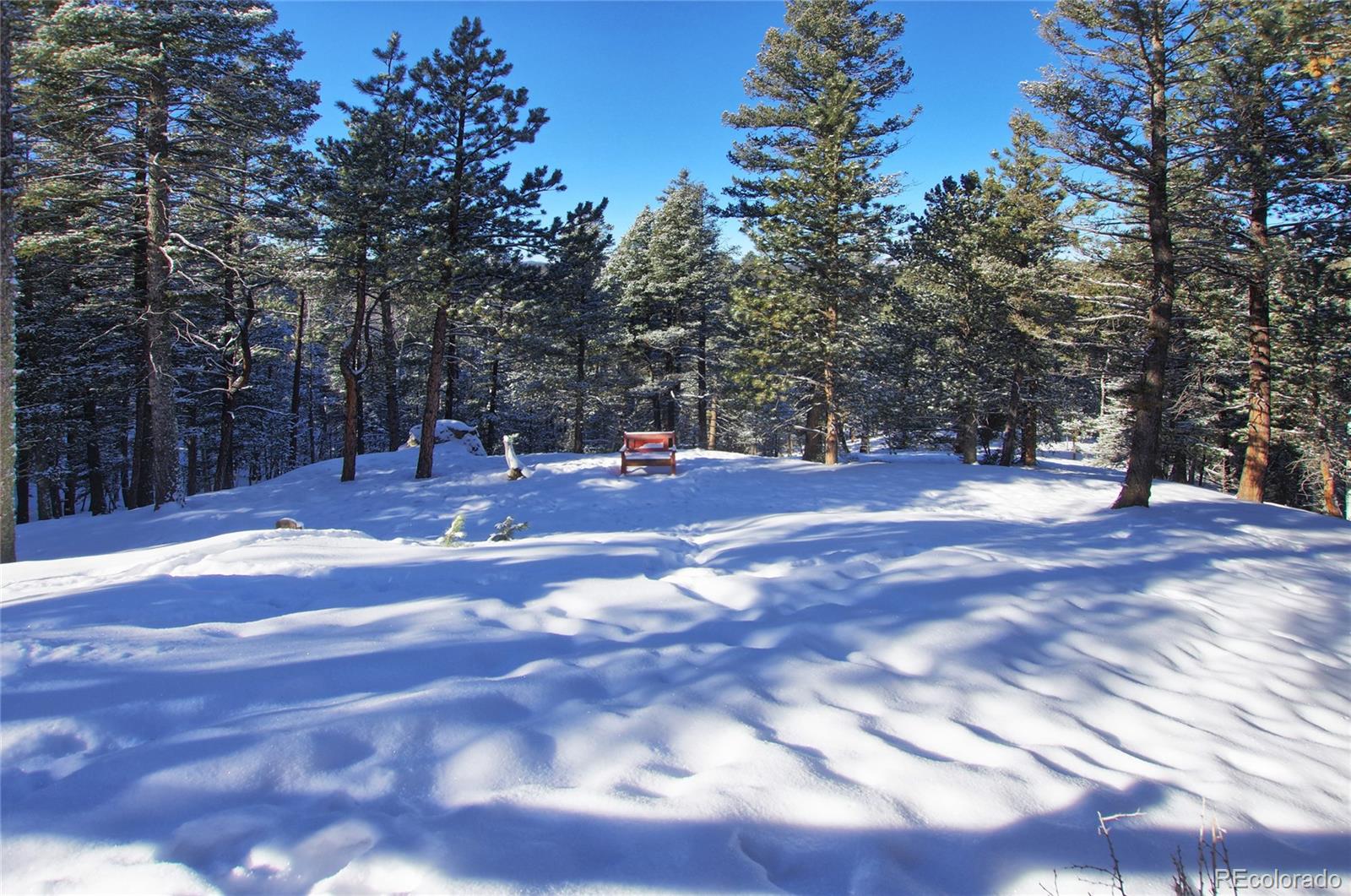 MLS Image #37 for 1245  blossom road,woodland park, Colorado