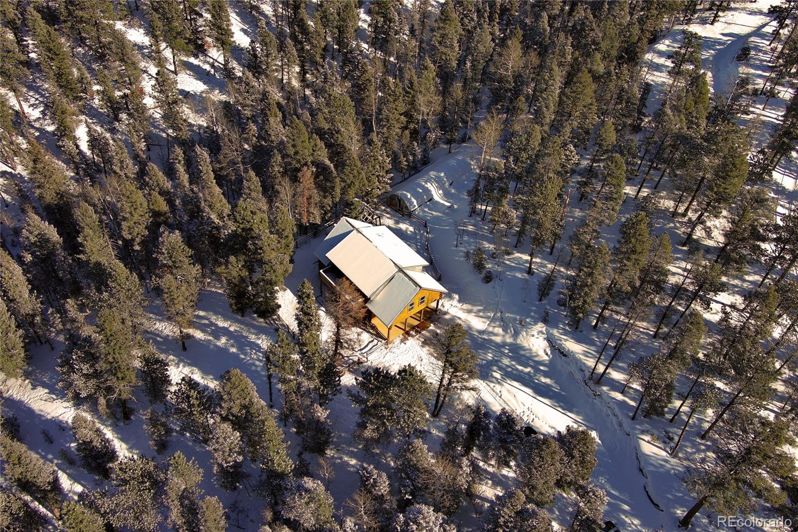 MLS Image #43 for 1245  blossom road,woodland park, Colorado