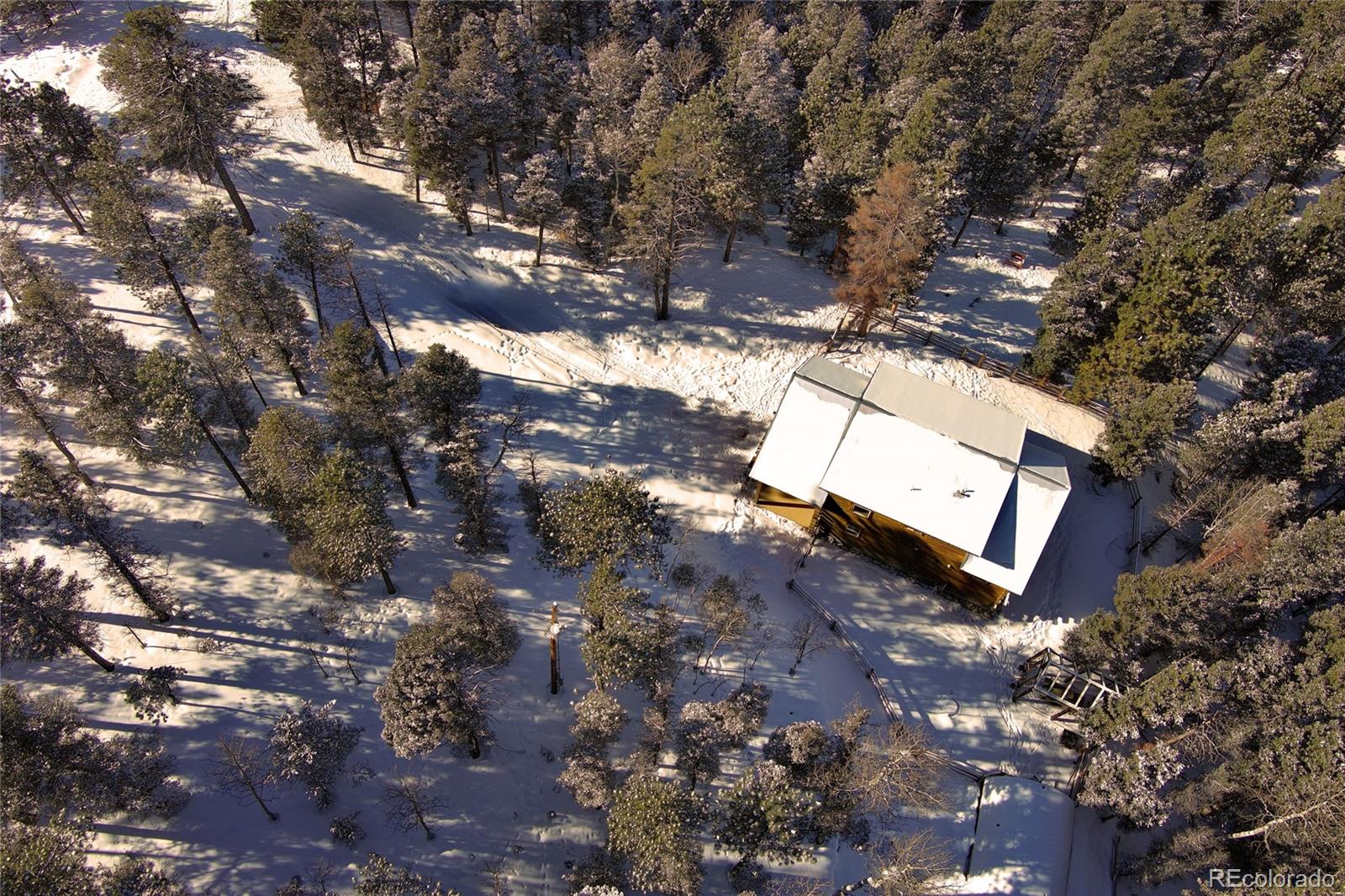 MLS Image #45 for 1245  blossom road,woodland park, Colorado