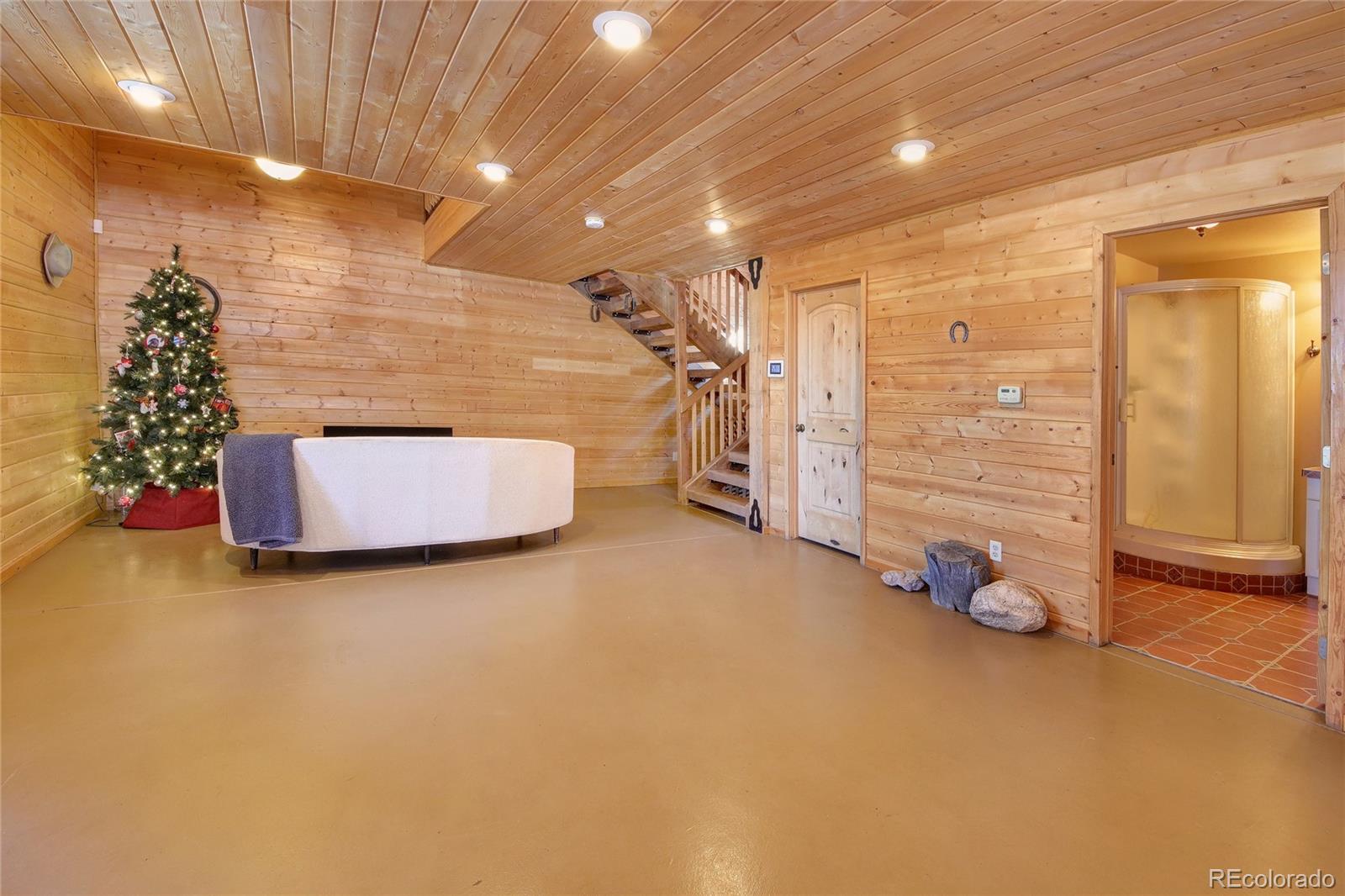 MLS Image #9 for 1245  blossom road,woodland park, Colorado