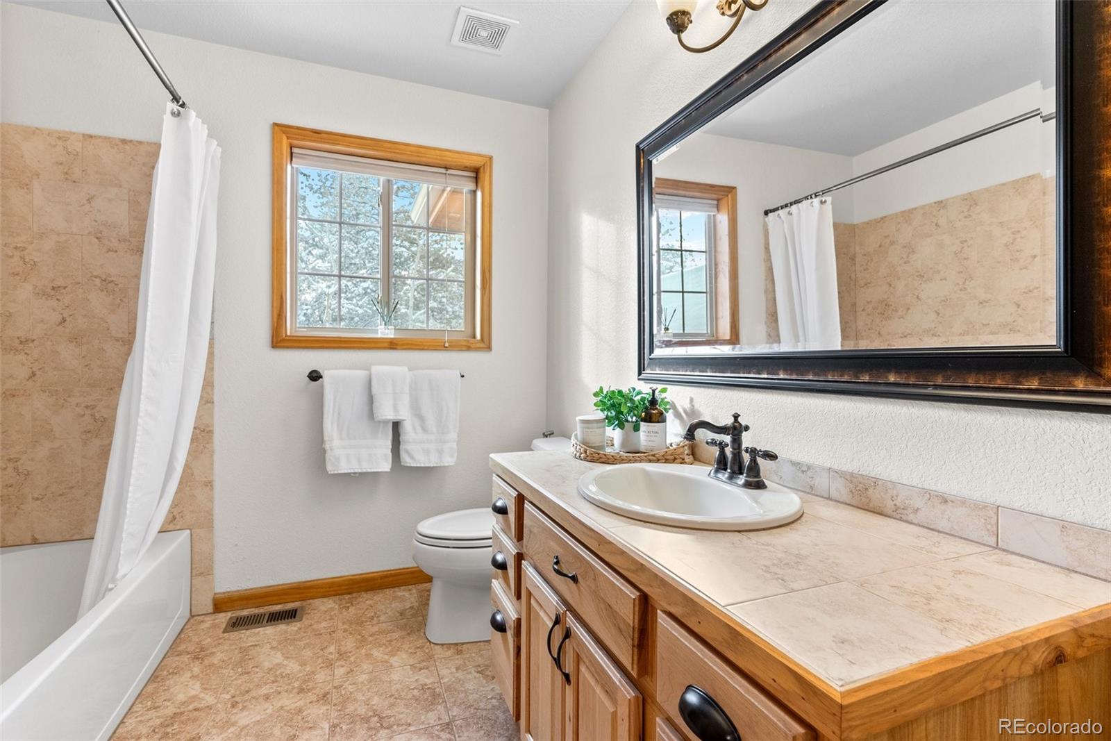 MLS Image #21 for 228  beaver trail,bailey, Colorado