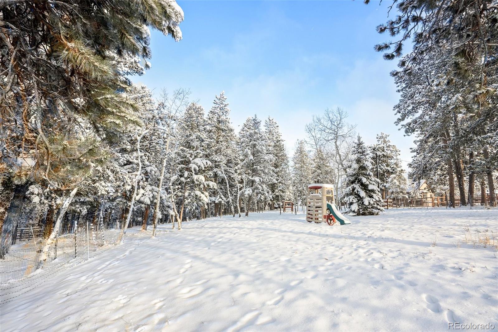 MLS Image #33 for 228  beaver trail,bailey, Colorado