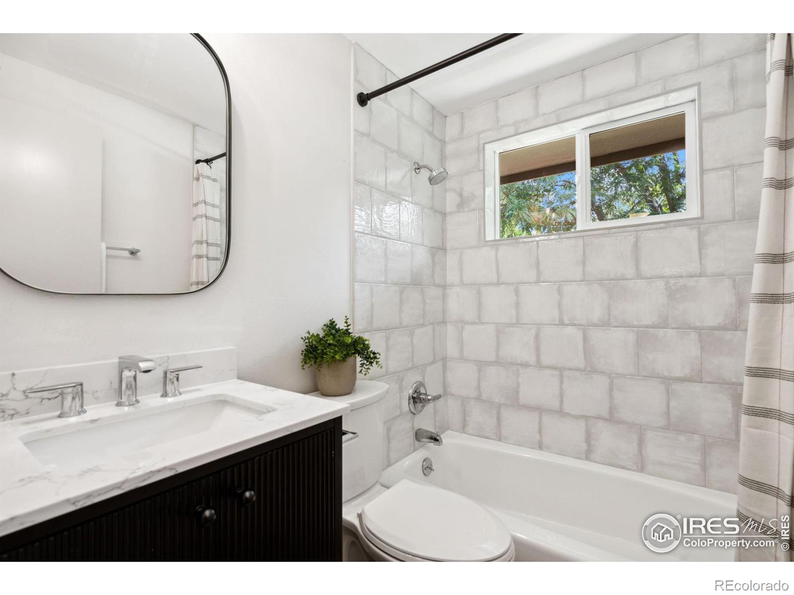 MLS Image #12 for 1232  lincoln street,longmont, Colorado