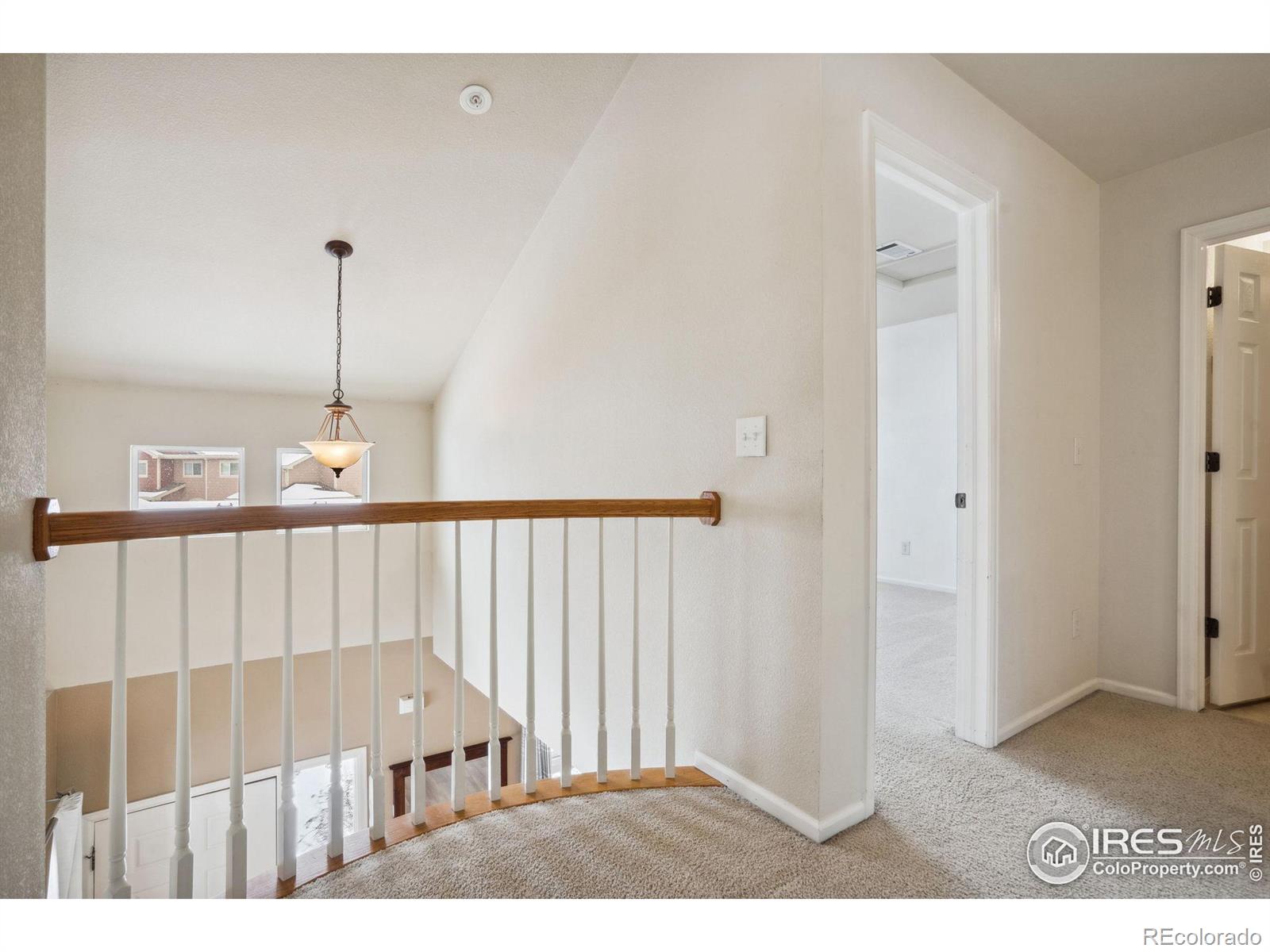 MLS Image #19 for 230  carina circle,loveland, Colorado