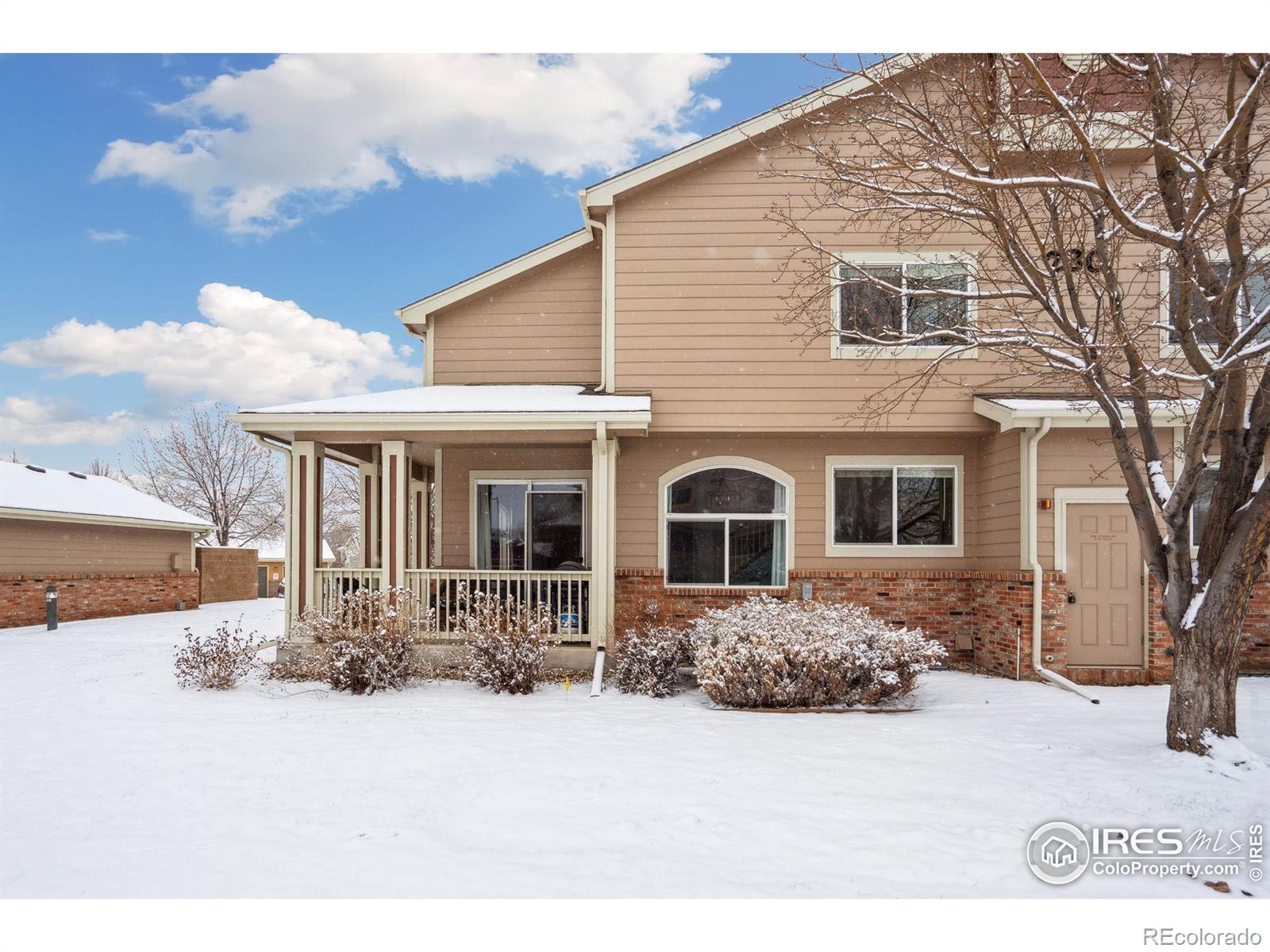 MLS Image #37 for 230  carina circle,loveland, Colorado