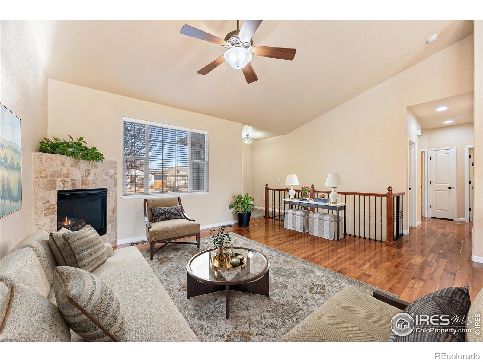 Report Image for 209  Oak Street,Windsor, Colorado