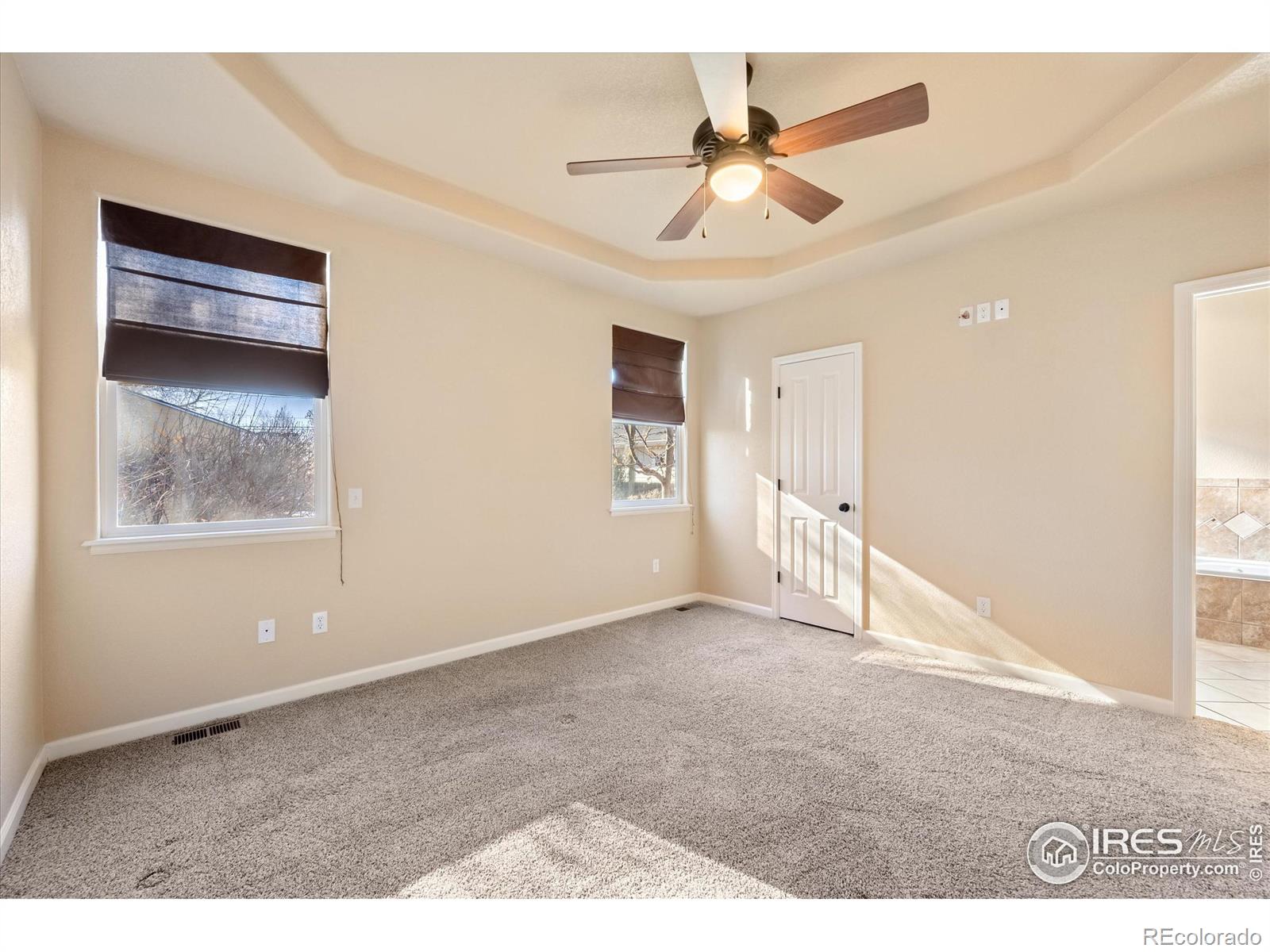 MLS Image #14 for 209  oak street,windsor, Colorado